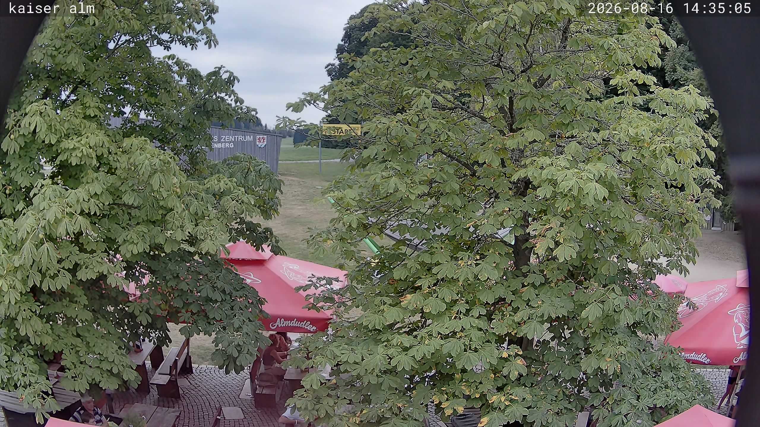 Archiv Foto Webcam Kaiseralm Breitenberg