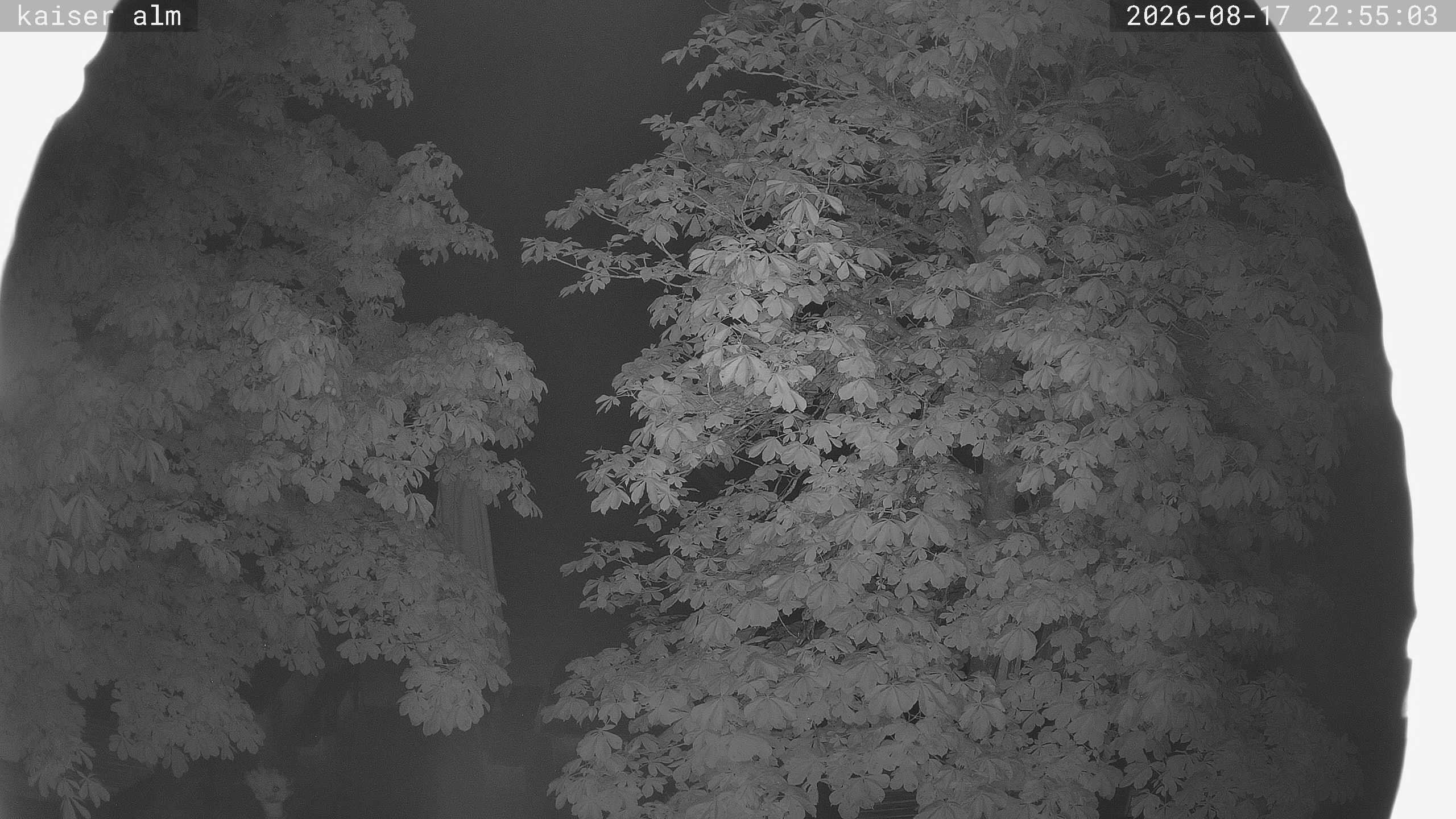 Archiv Foto Webcam Kaiseralm Breitenberg