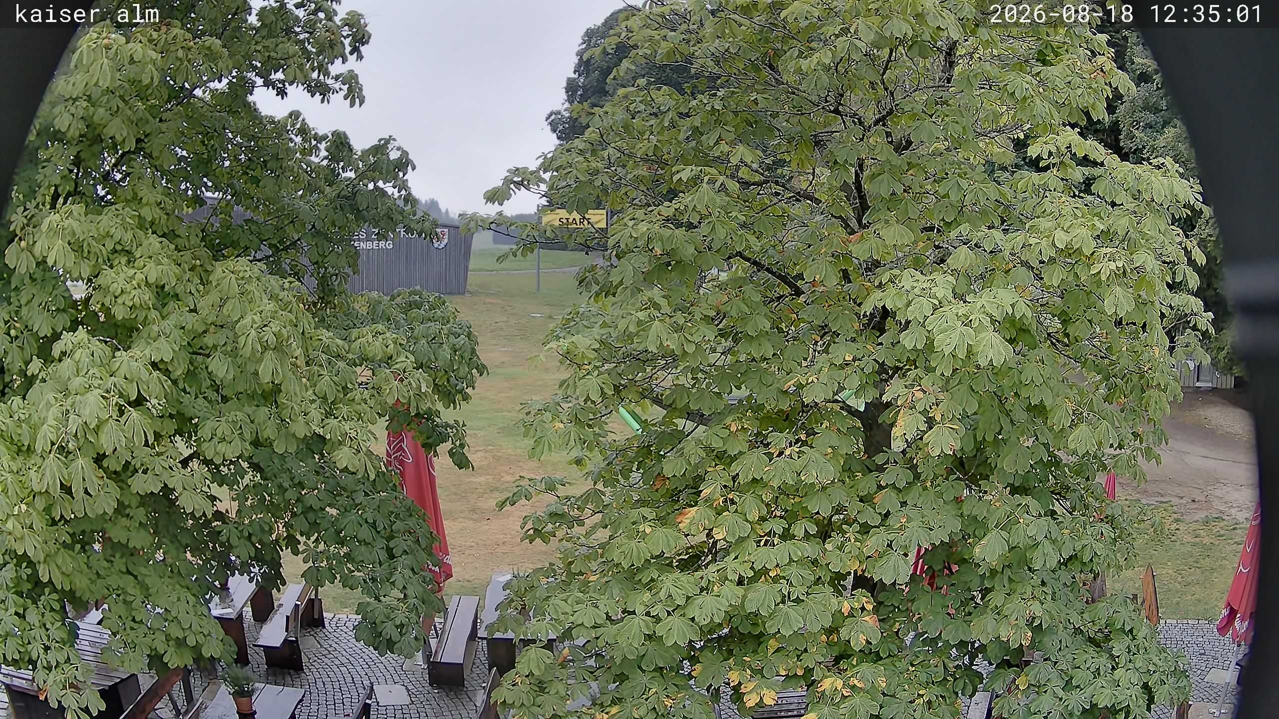 Archiv Foto Webcam Kaiseralm Breitenberg