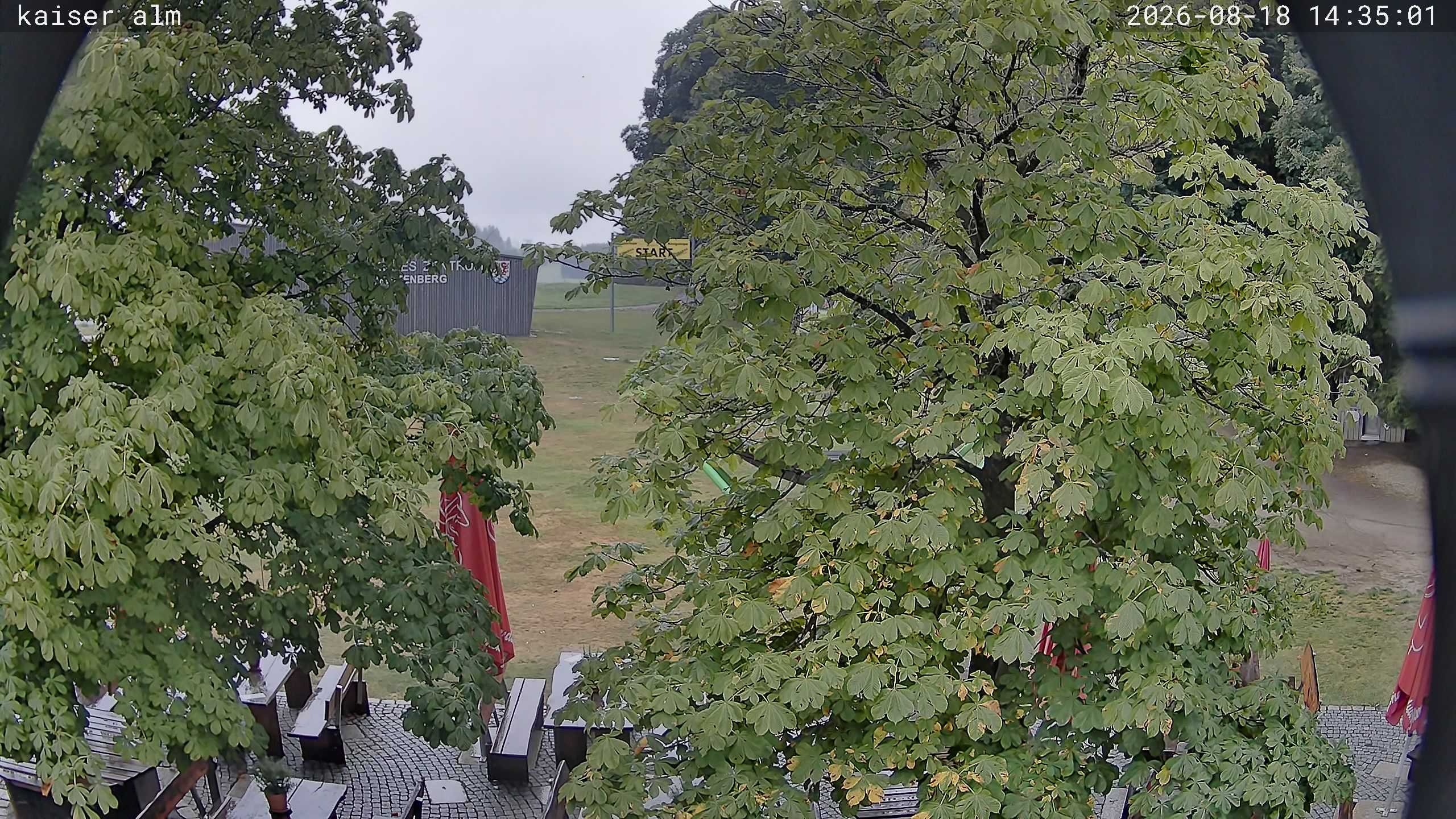 Archiv Foto Webcam Kaiseralm Breitenberg