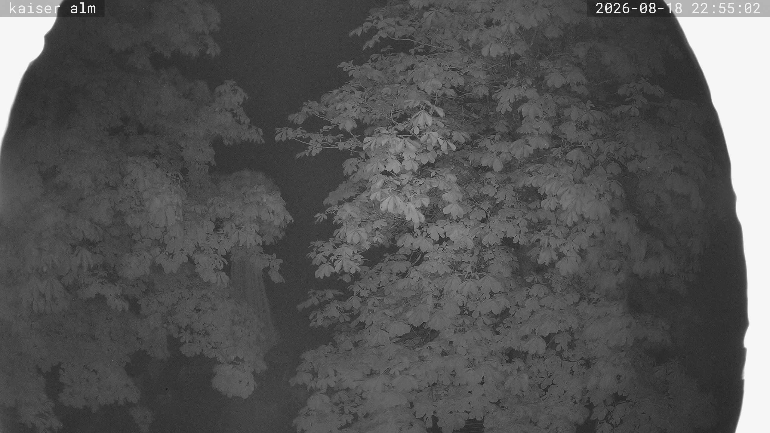 Archiv Foto Webcam Kaiseralm Breitenberg