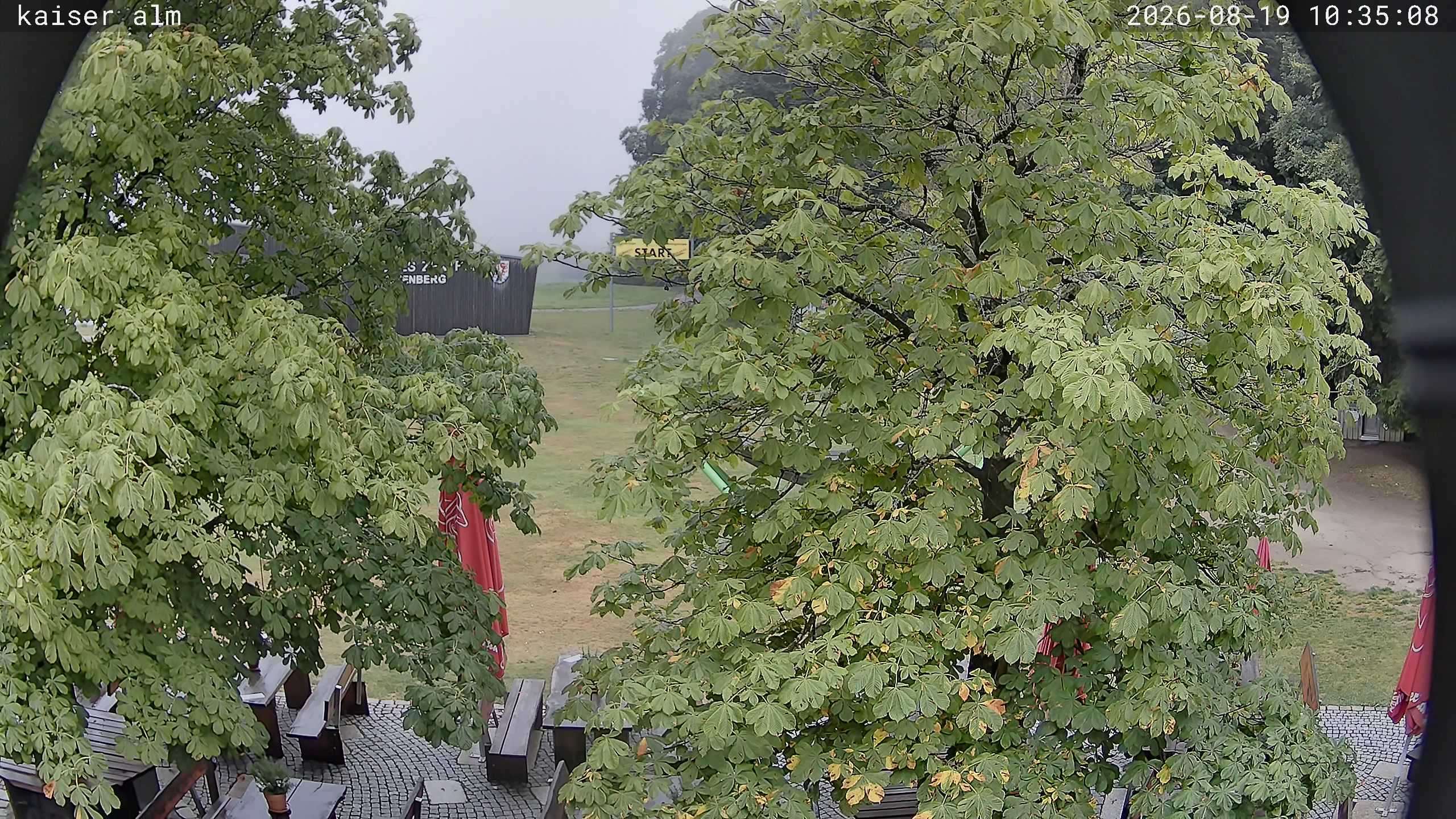 Archiv Foto Webcam Kaiseralm Breitenberg