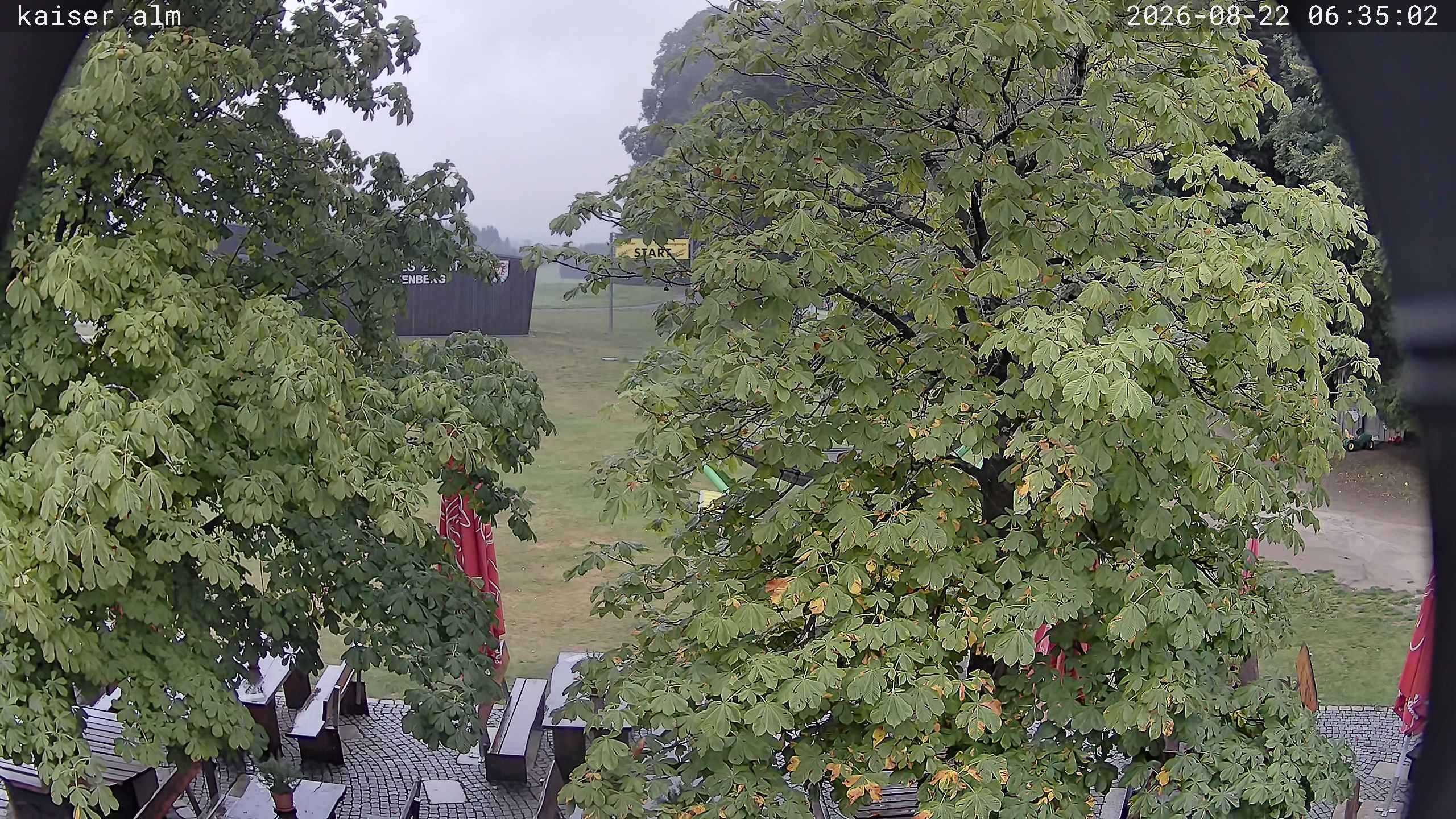 Archiv Foto Webcam Kaiseralm Breitenberg