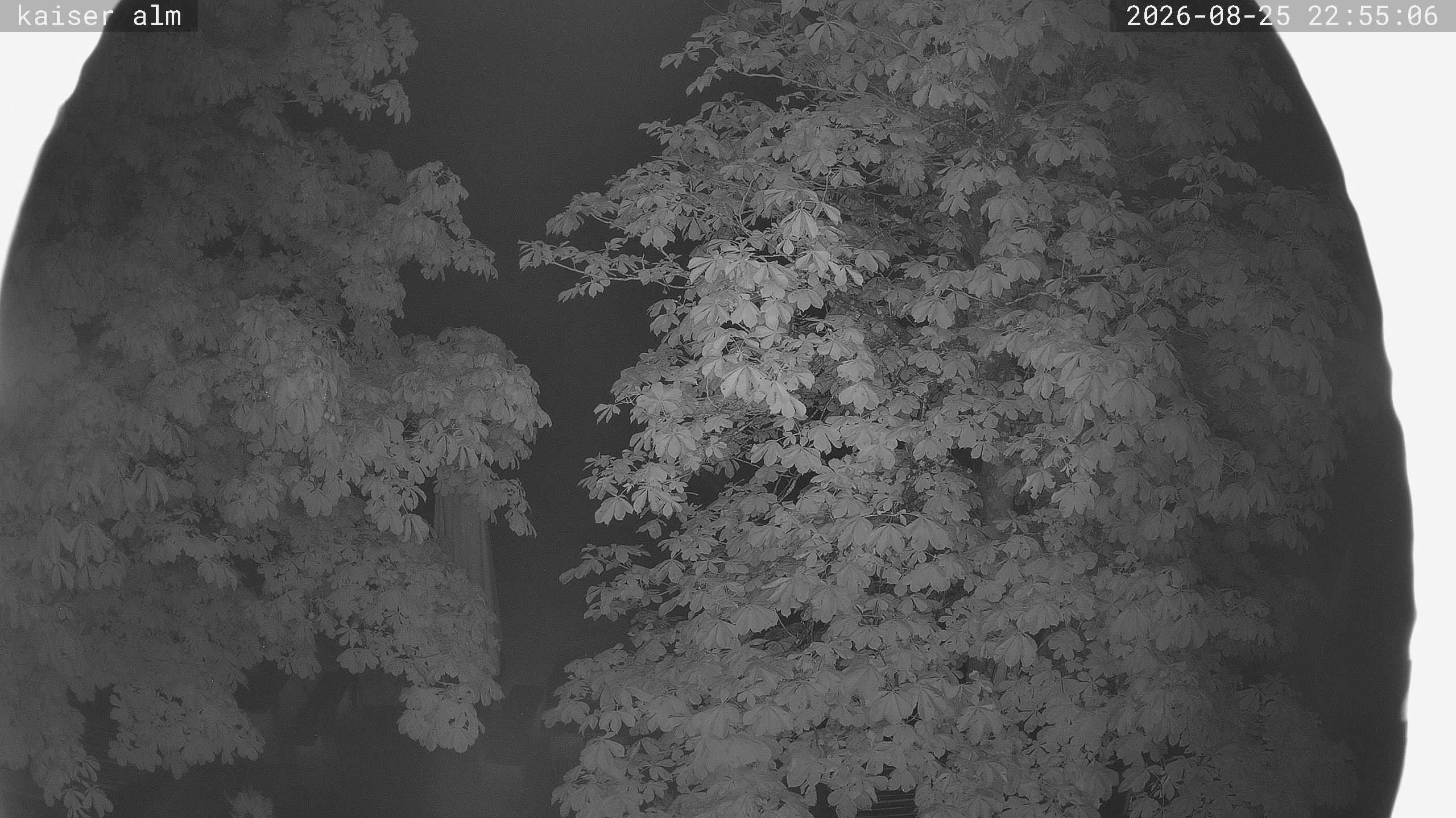 Archiv Foto Webcam Kaiseralm Breitenberg