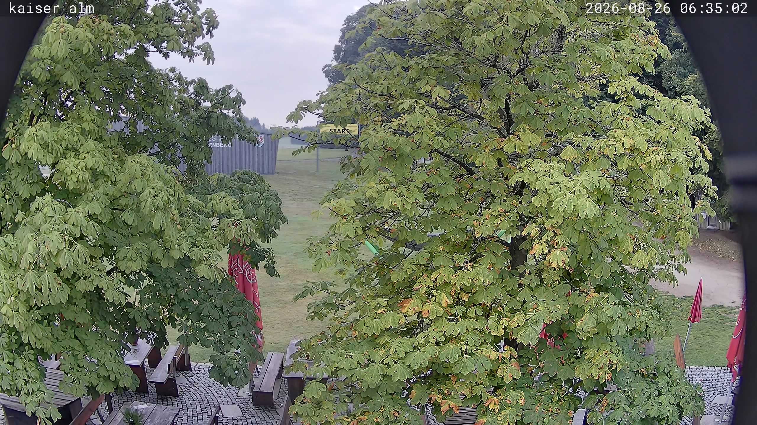 Archiv Foto Webcam Kaiseralm Breitenberg