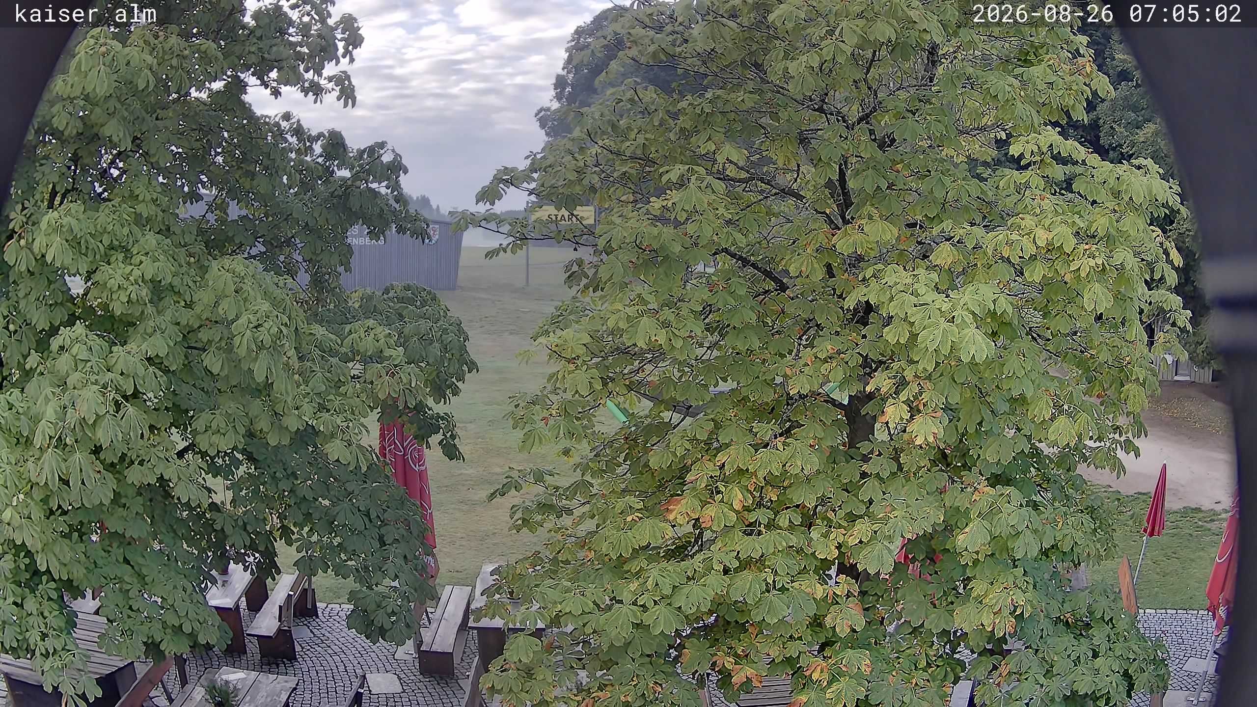 Archiv Foto Webcam Kaiseralm Breitenberg