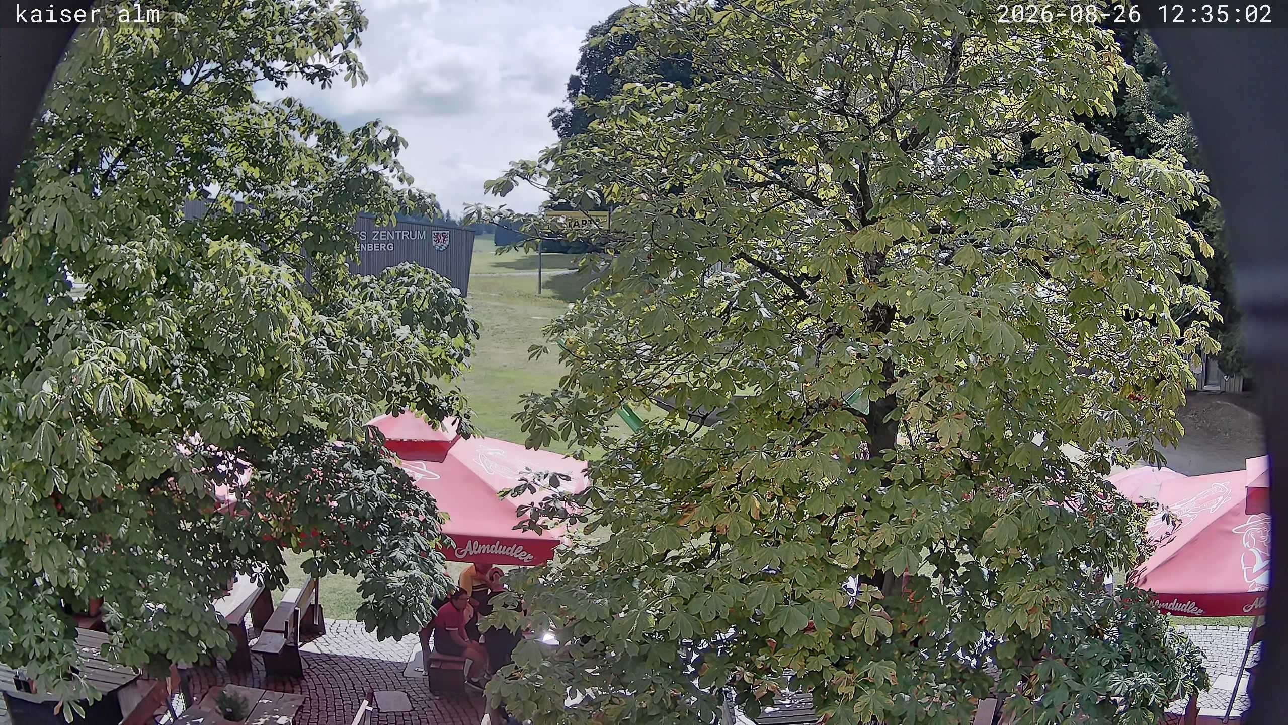 Archiv Foto Webcam Kaiseralm Breitenberg