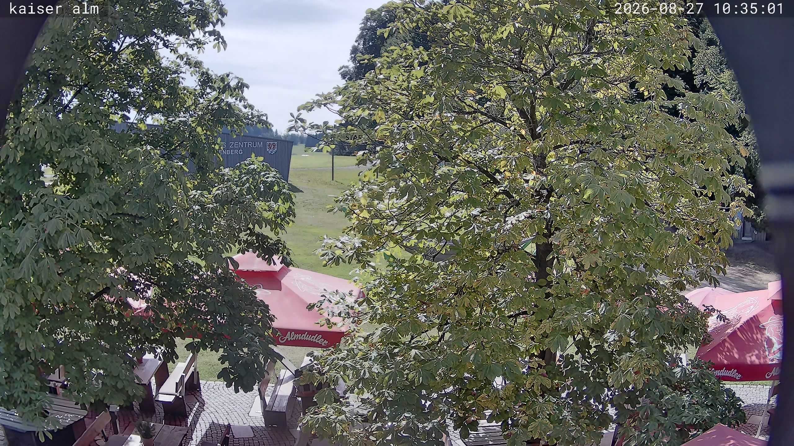Archiv Foto Webcam Kaiseralm Breitenberg