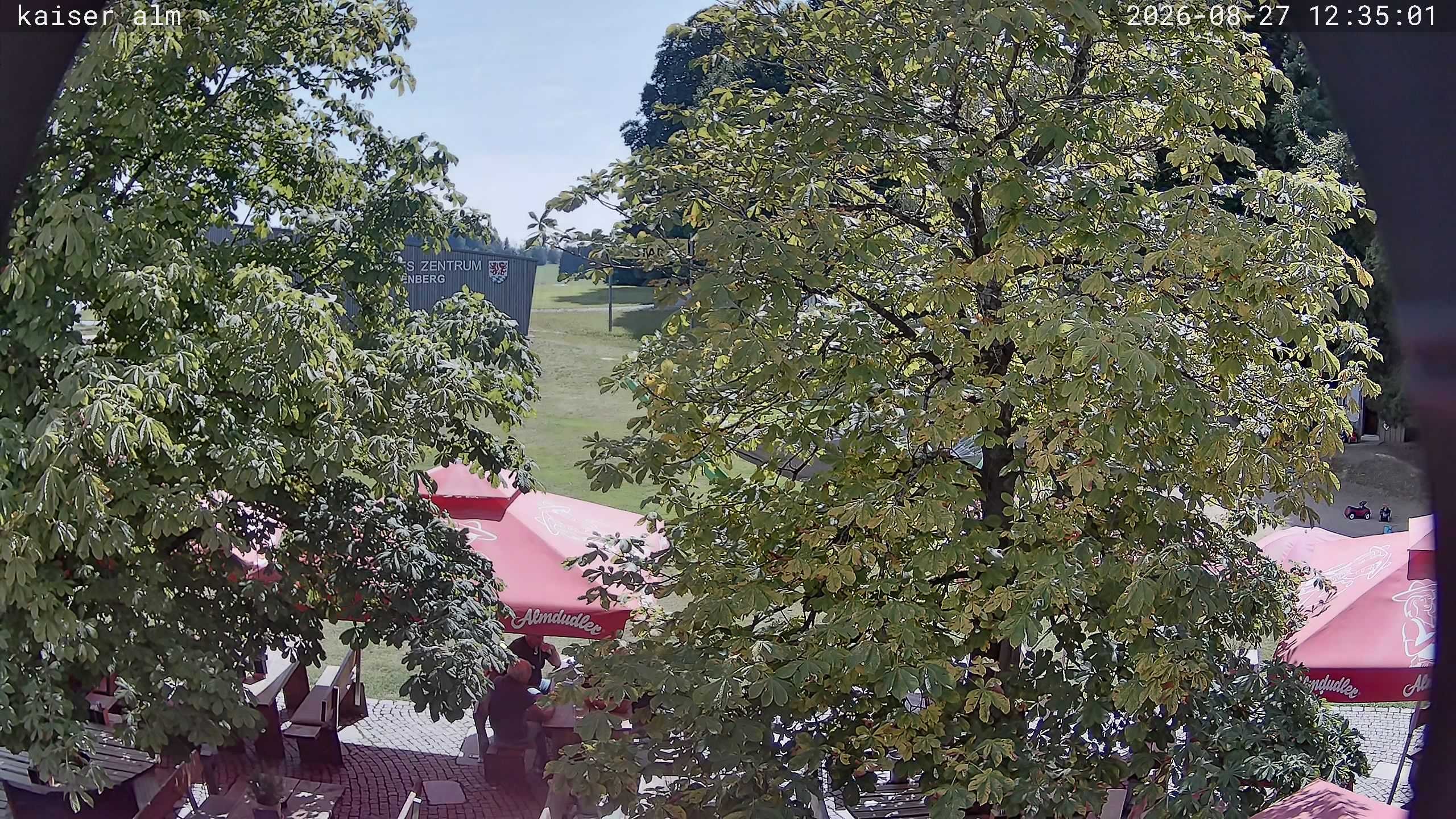 Archiv Foto Webcam Kaiseralm Breitenberg