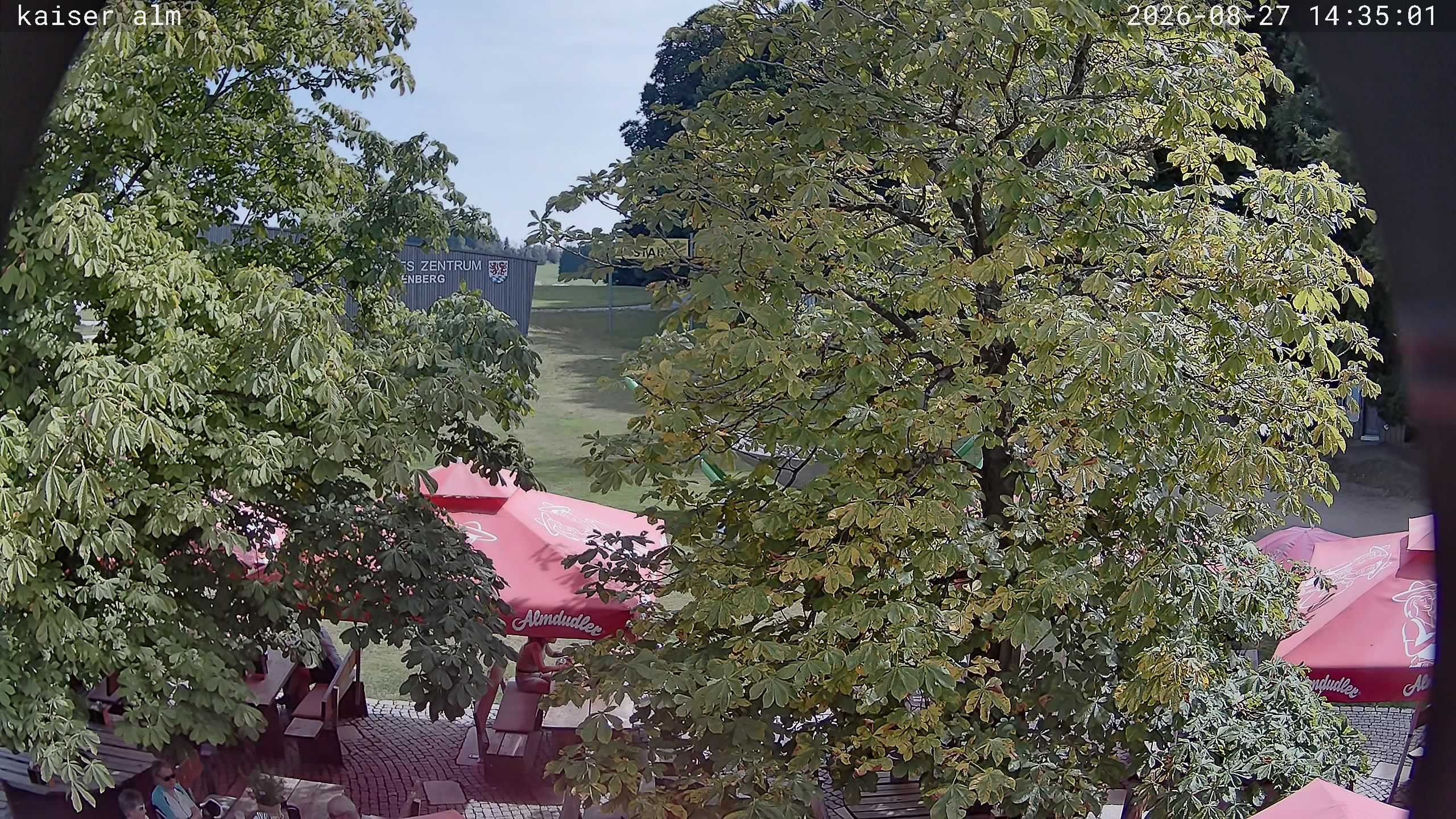 Archiv Foto Webcam Kaiseralm Breitenberg
