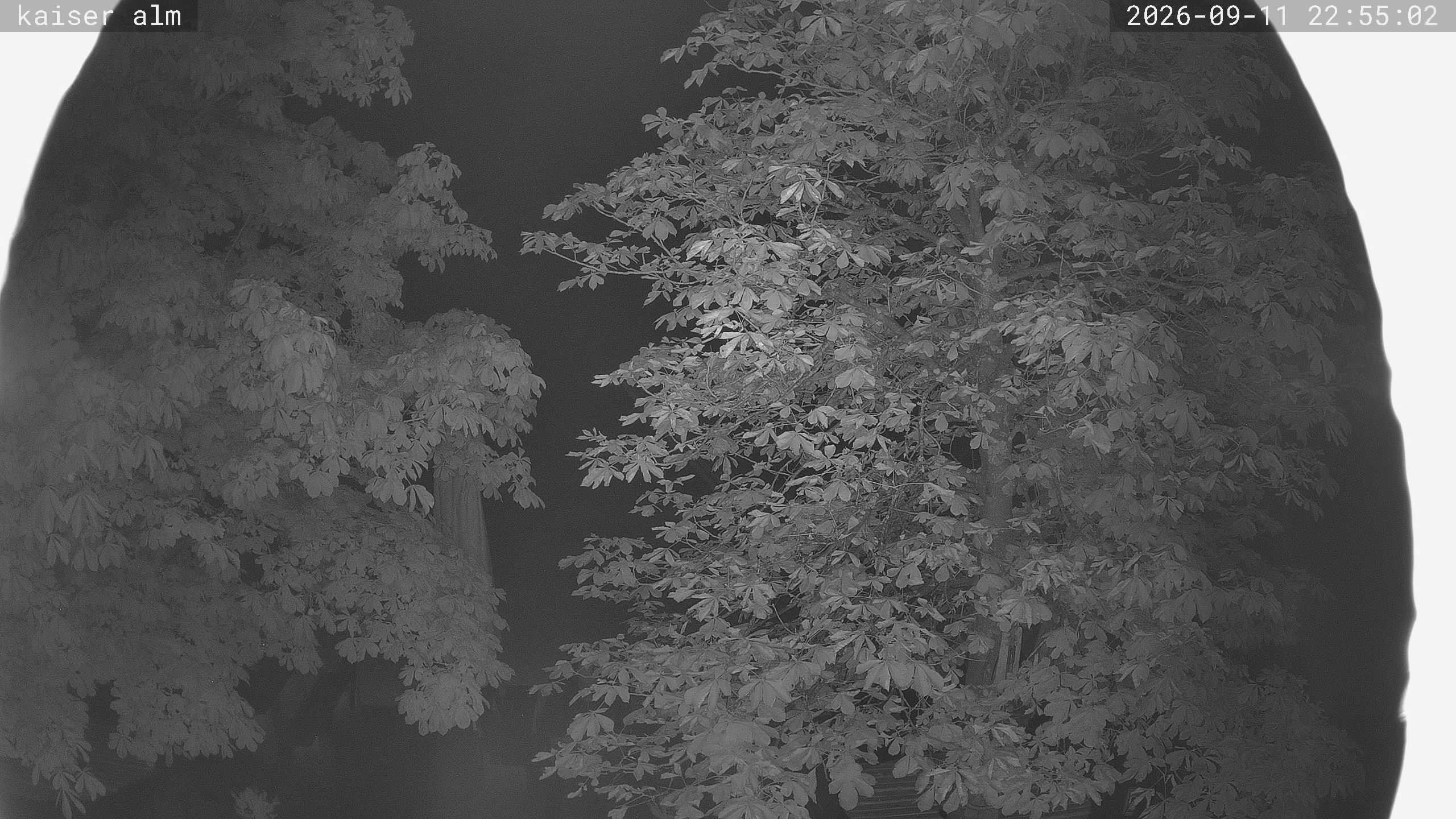 Archived image Breitenberg - Webcam at Kaiseralm