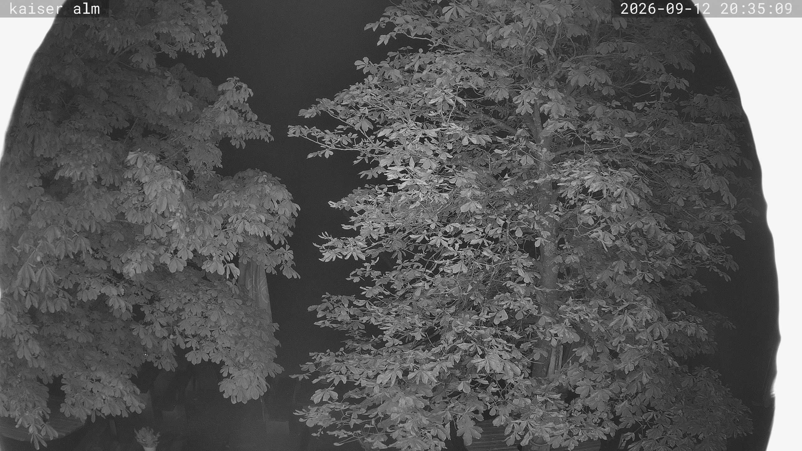 Archived image Breitenberg - Webcam at Kaiseralm