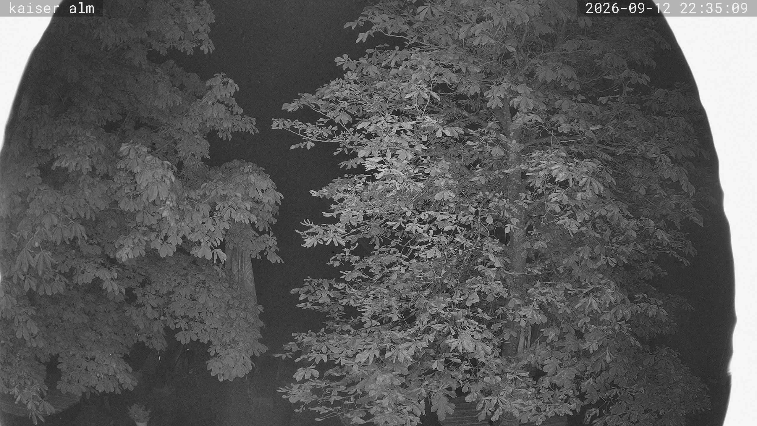 Archived image Breitenberg - Webcam at Kaiseralm