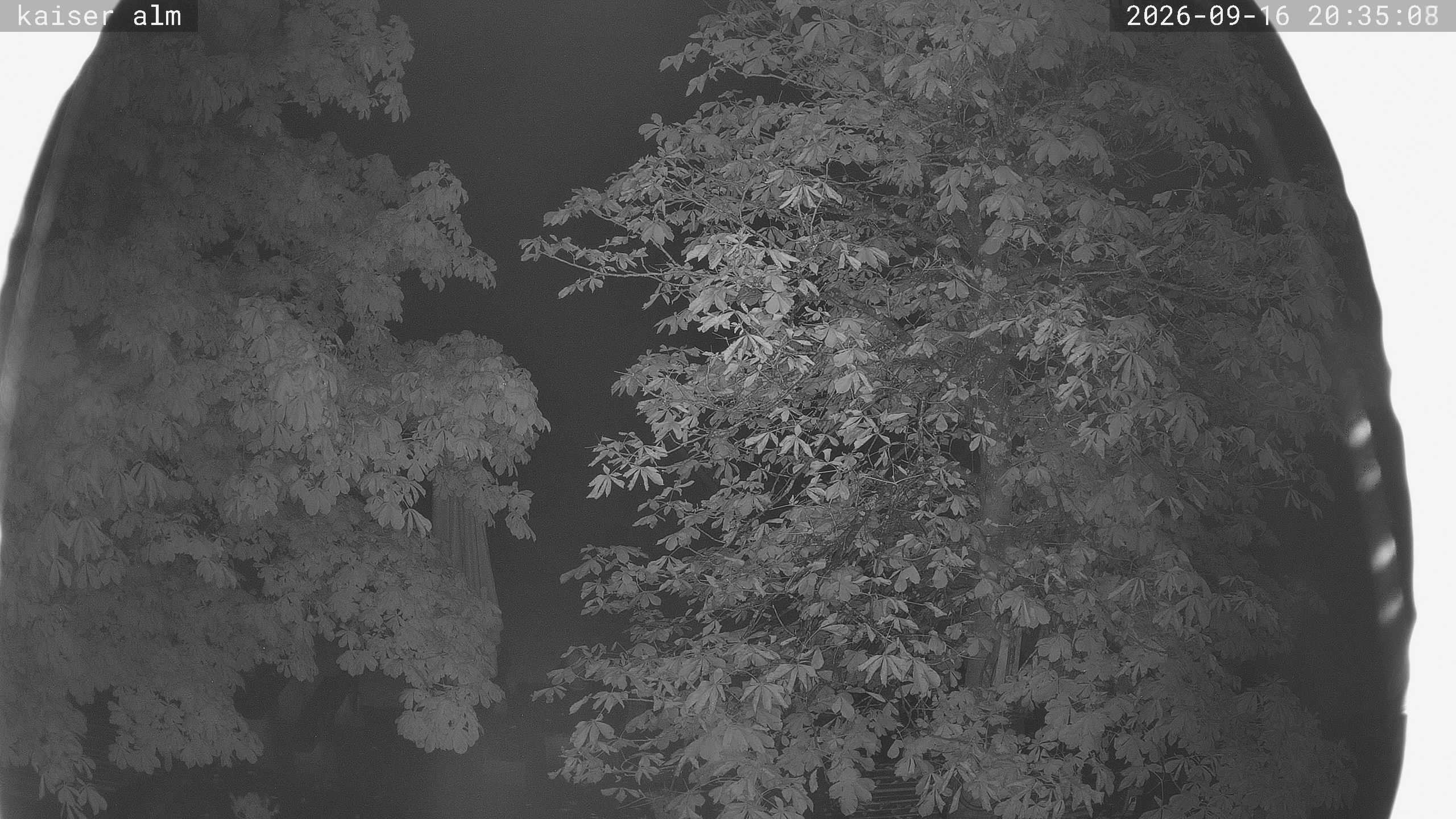 Archiv Foto Webcam Kaiseralm Breitenberg