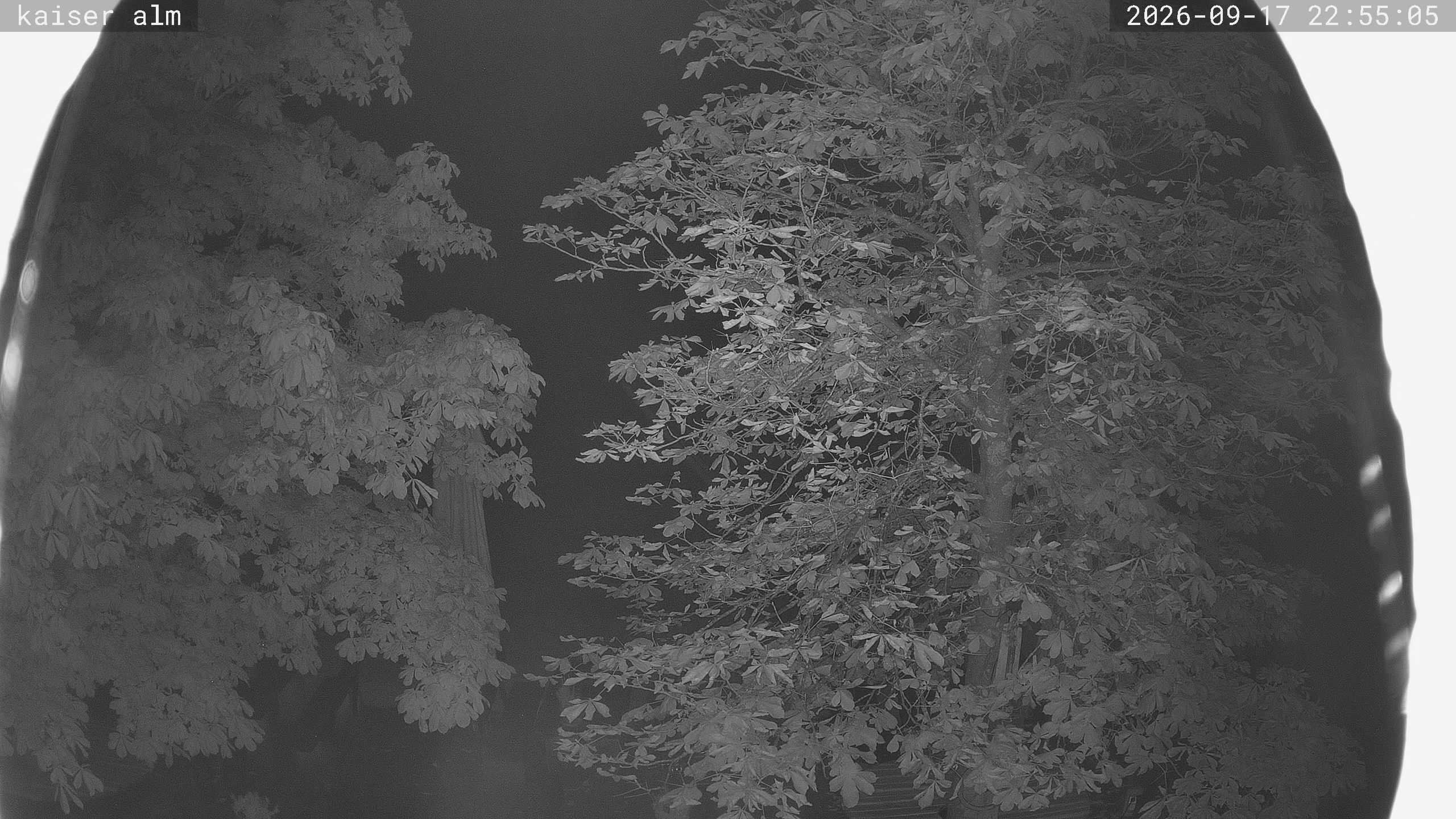 Archiv Foto Webcam Kaiseralm Breitenberg