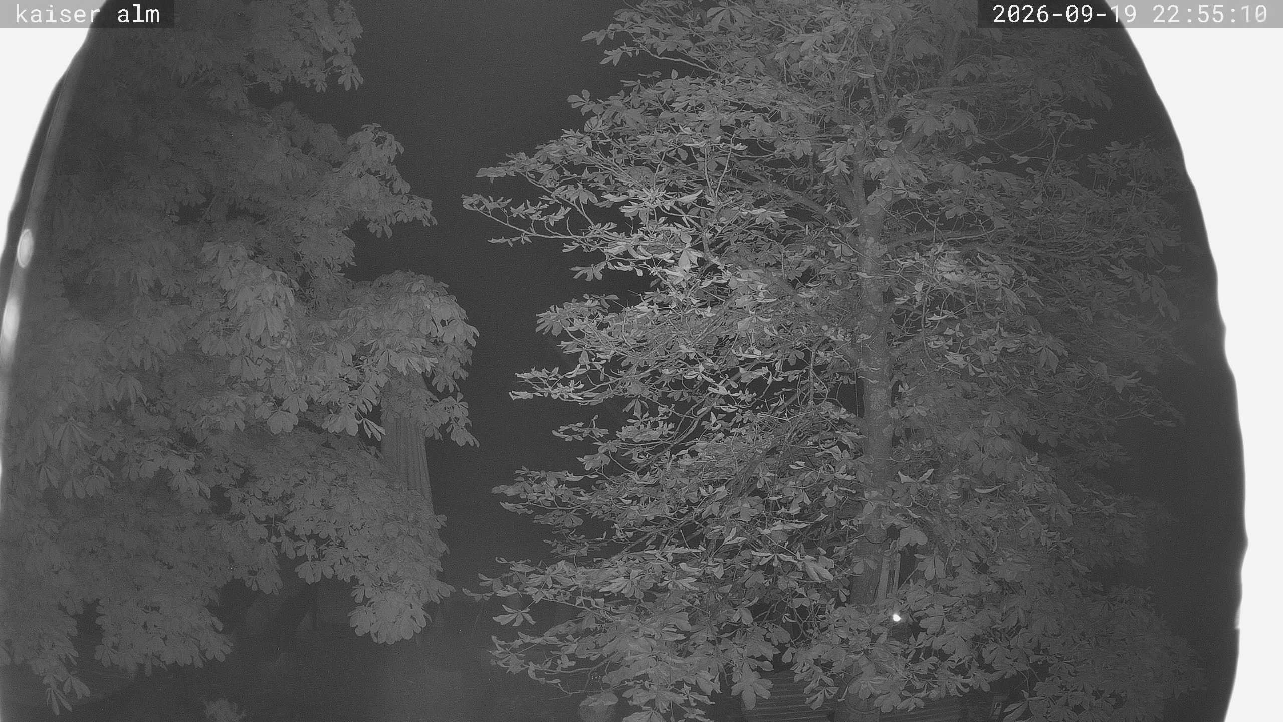 Archiv Foto Webcam Kaiseralm Breitenberg