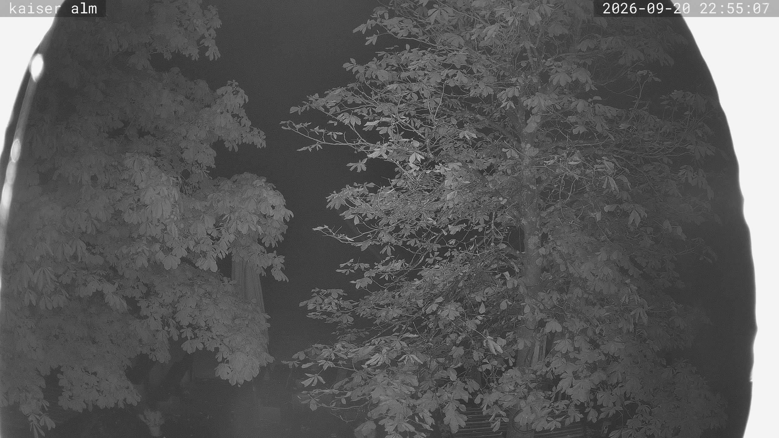 Archiv Foto Webcam Kaiseralm Breitenberg
