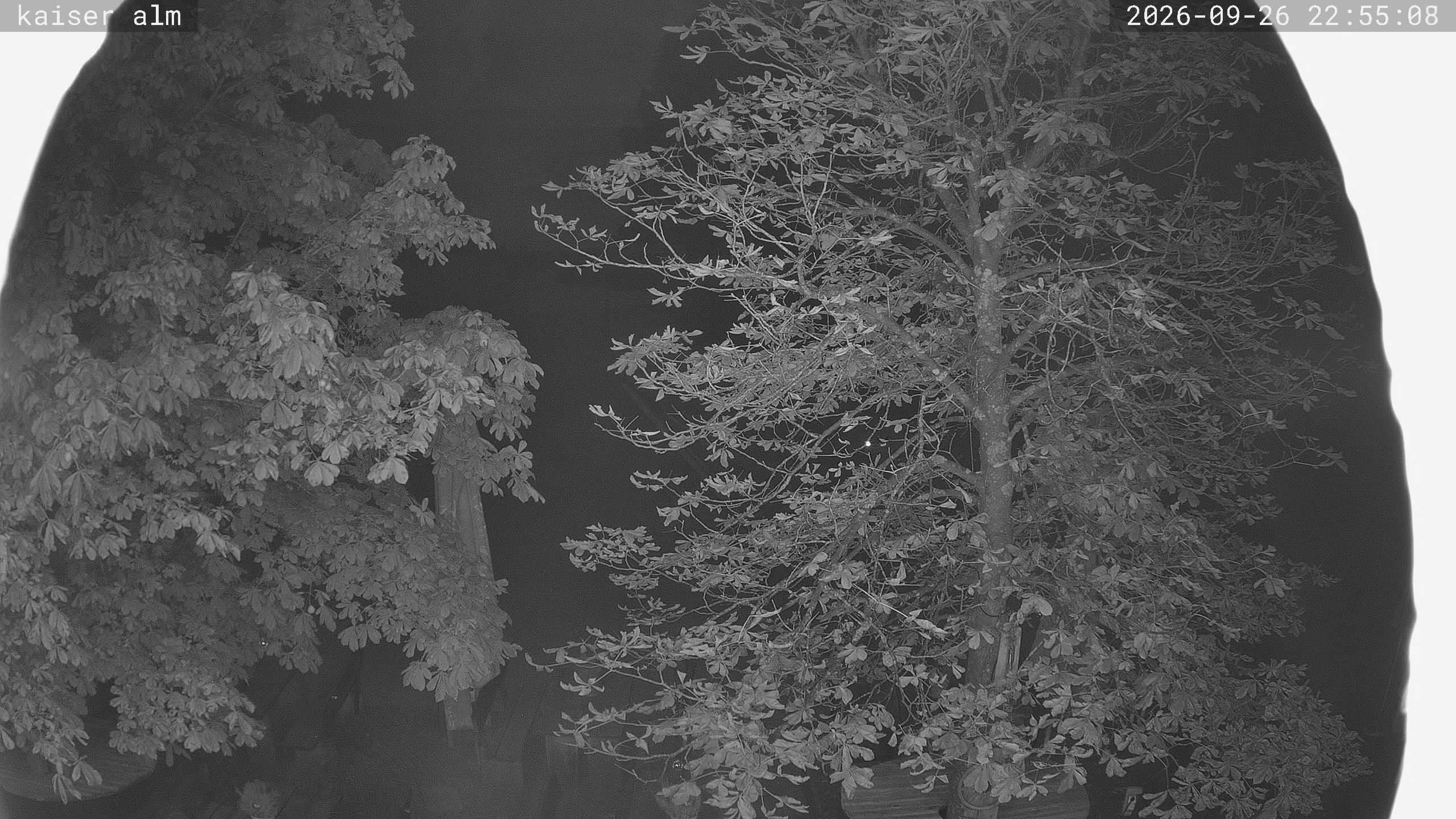 Archiv Foto Webcam Kaiseralm Breitenberg