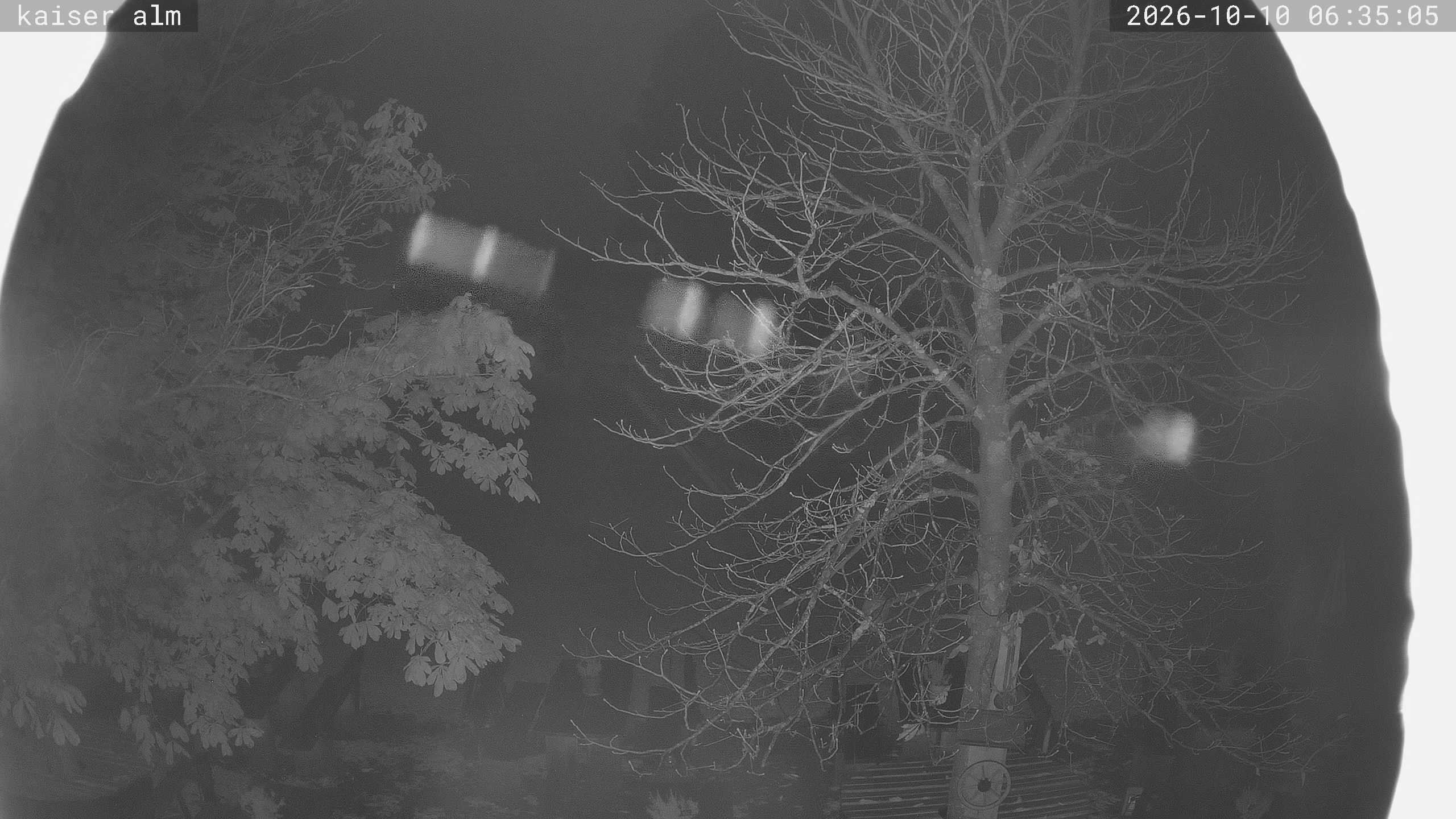 Archived image Breitenberg - Webcam at Kaiseralm