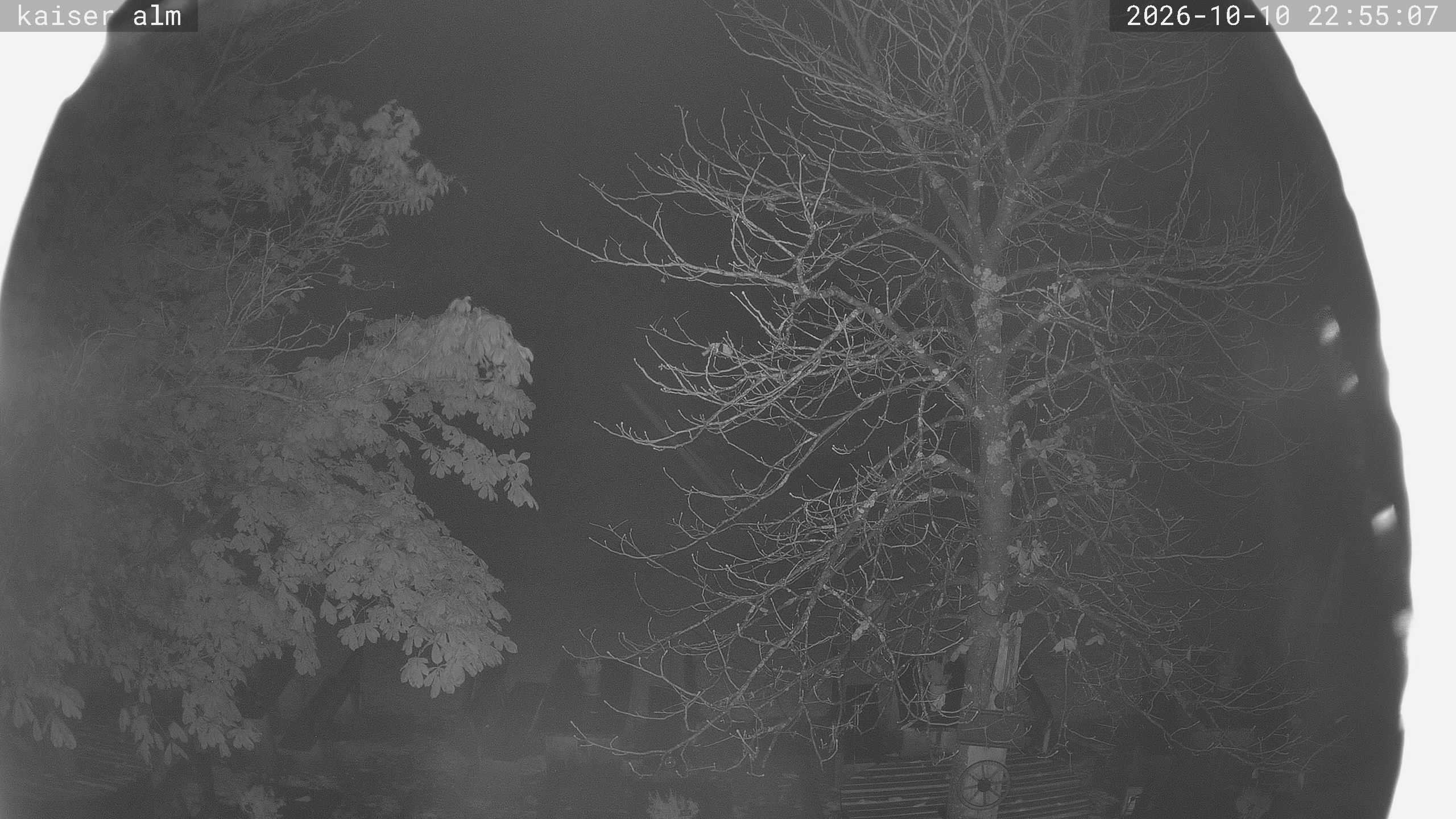 Archived image Breitenberg - Webcam at Kaiseralm