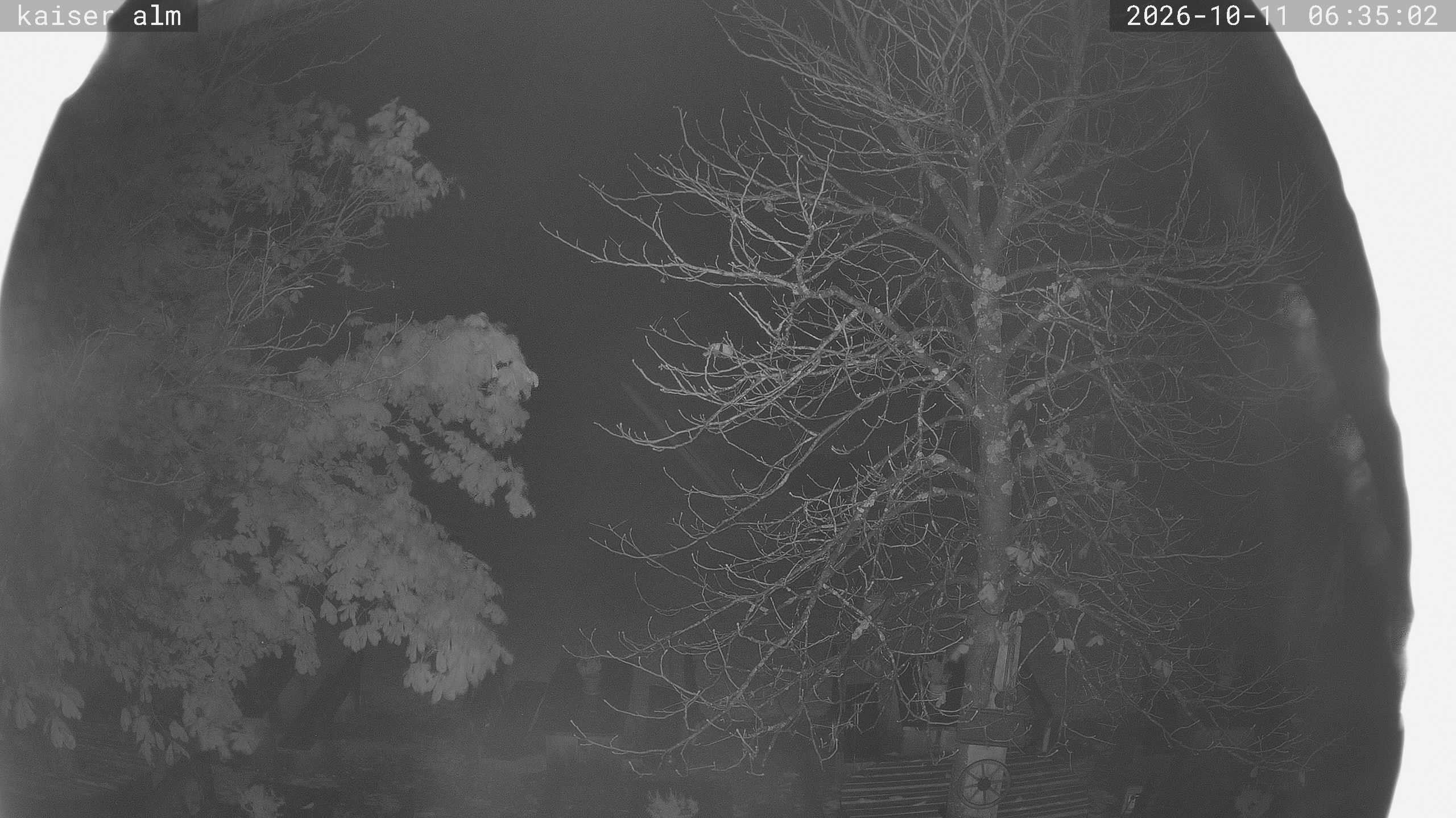 Archived image Breitenberg - Webcam at Kaiseralm