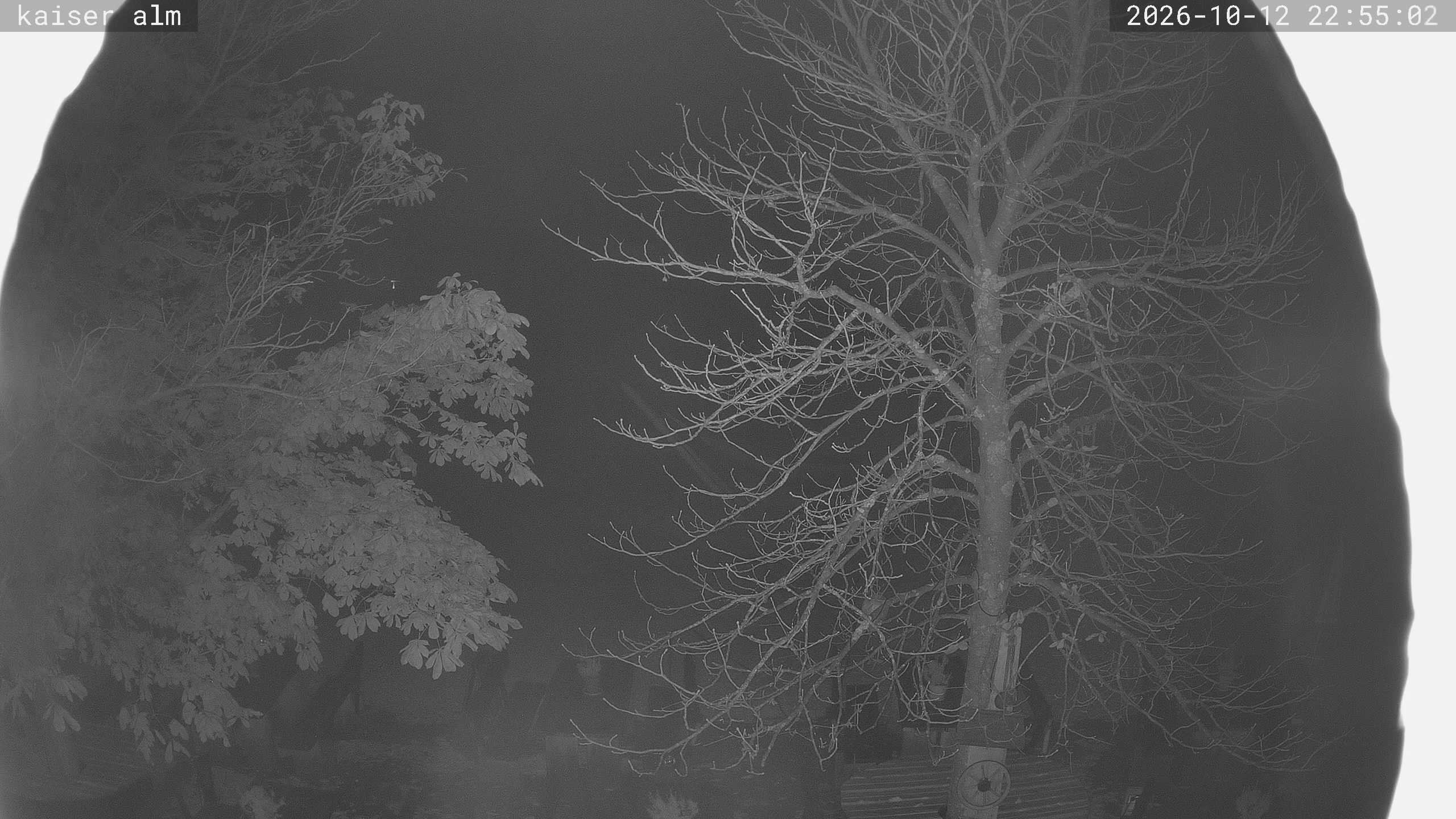 Archiv Foto Webcam Kaiseralm Breitenberg