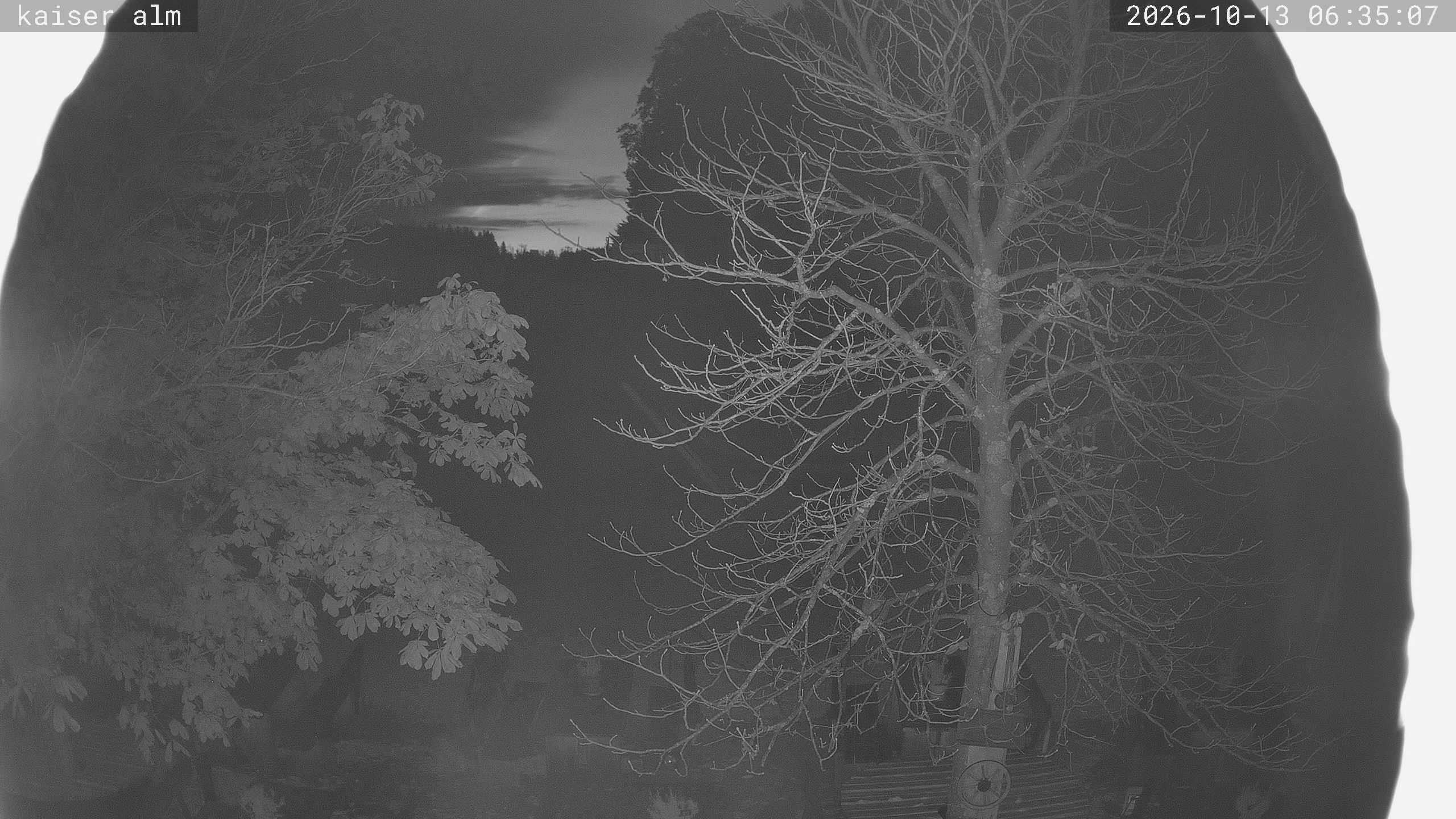Archiv Foto Webcam Kaiseralm Breitenberg