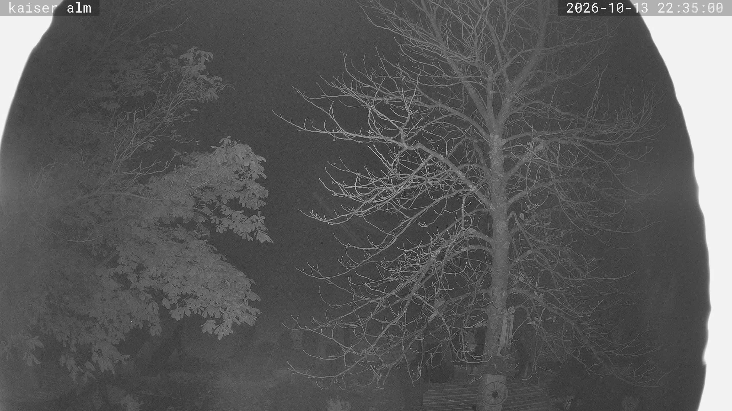Archiv Foto Webcam Kaiseralm Breitenberg