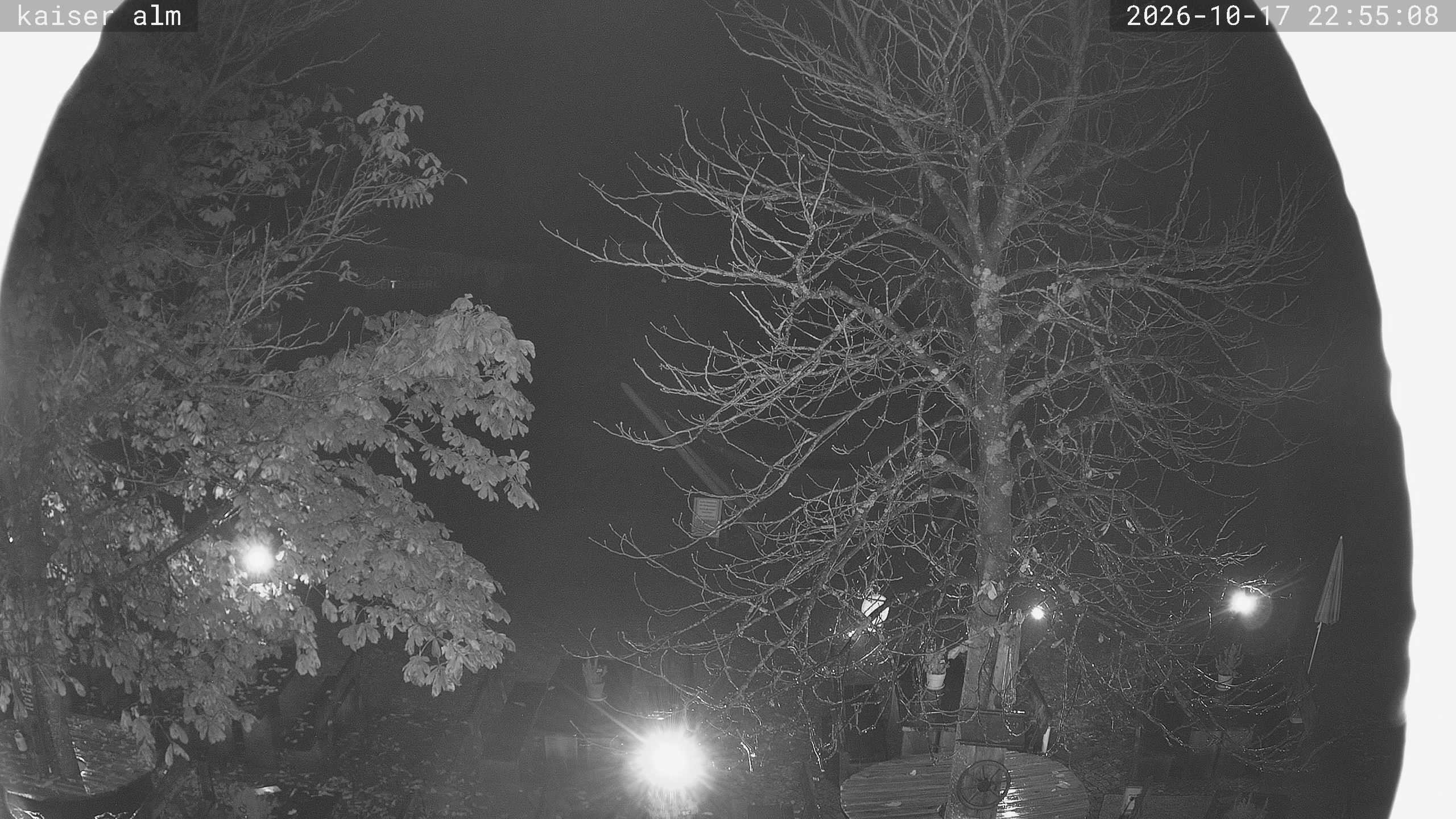 Archiv Foto Webcam Kaiseralm Breitenberg
