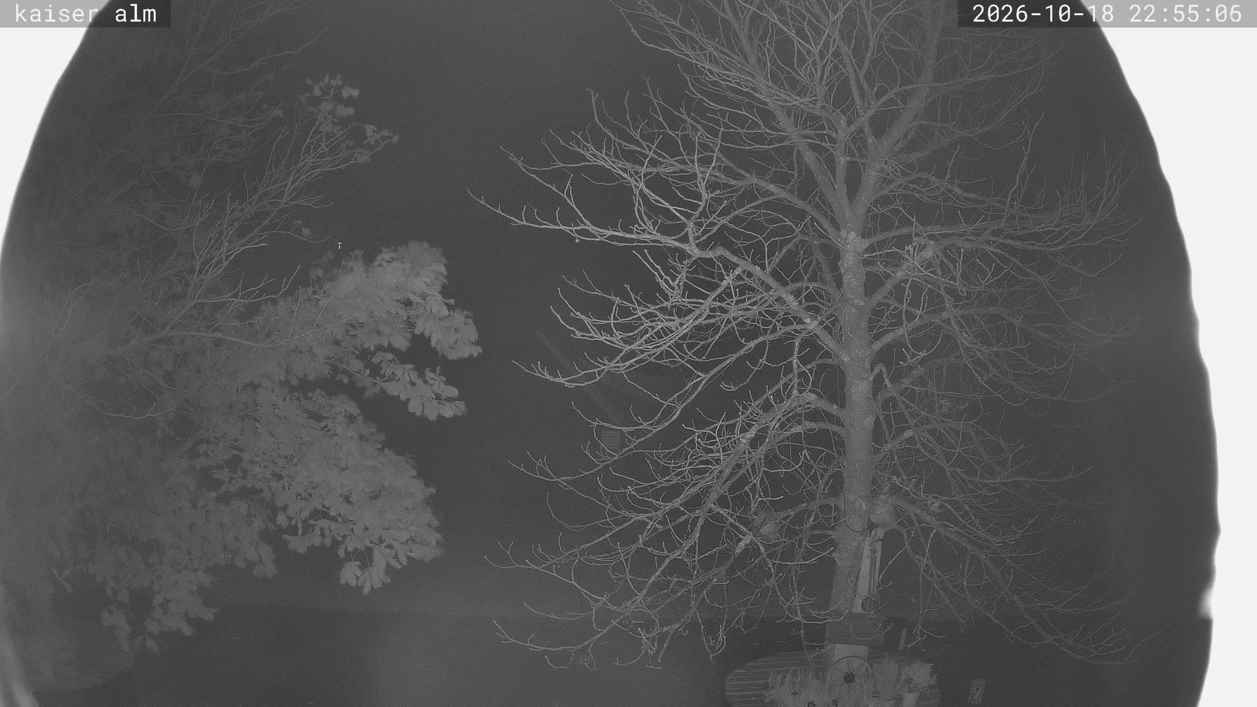Archiv Foto Webcam Kaiseralm Breitenberg