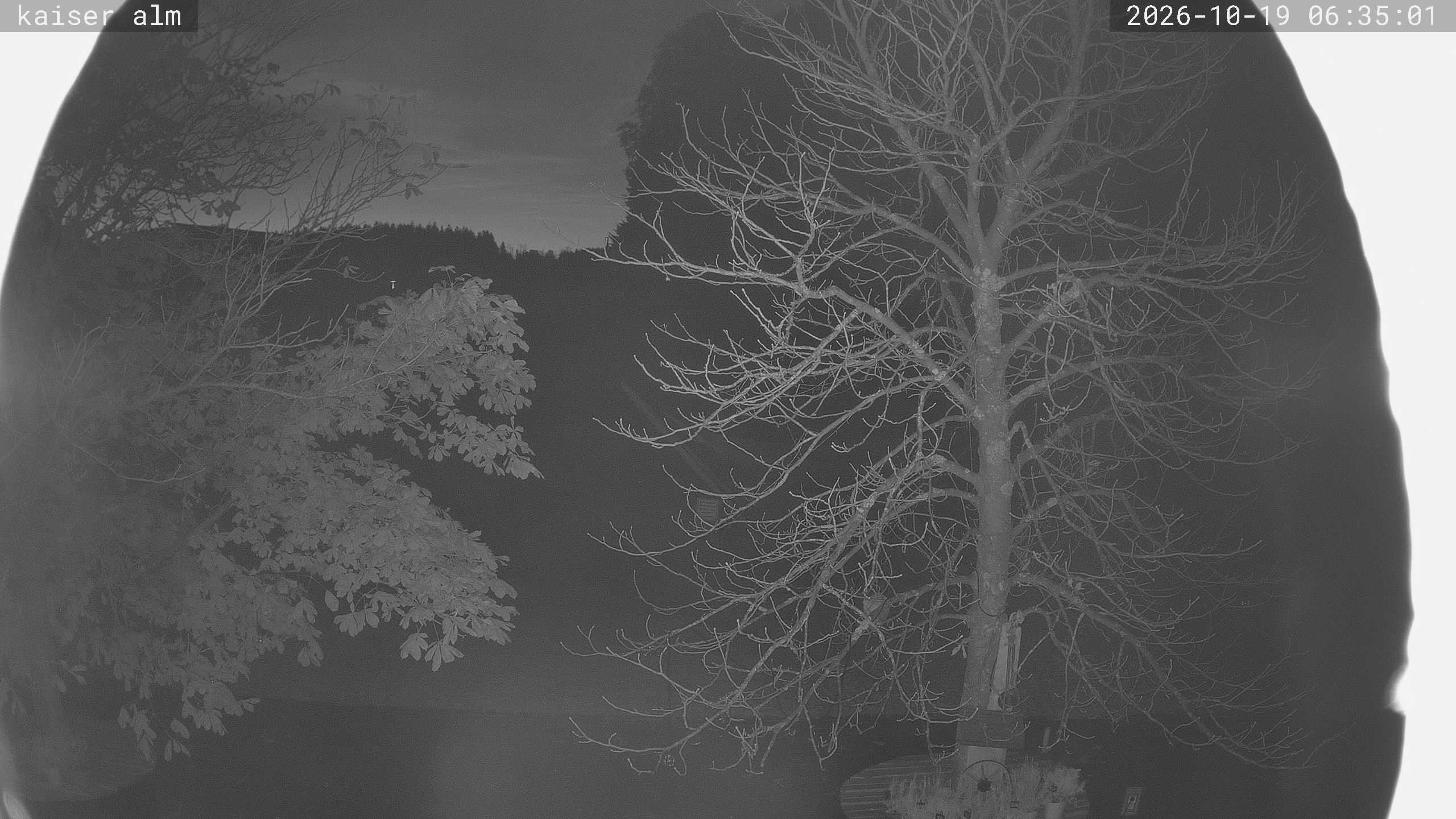 Archiv Foto Webcam Kaiseralm Breitenberg