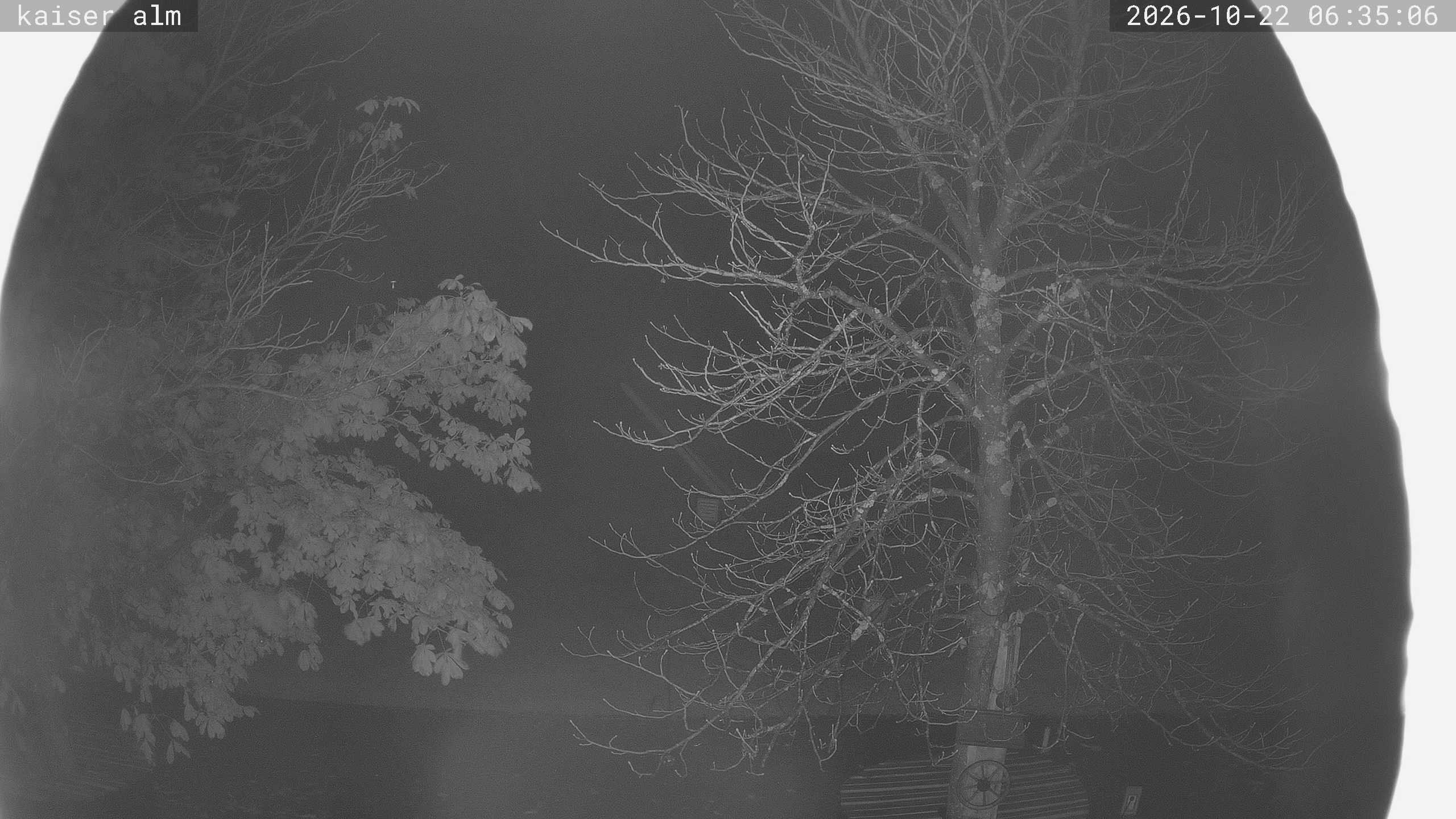 Archiv Foto Webcam Kaiseralm Breitenberg