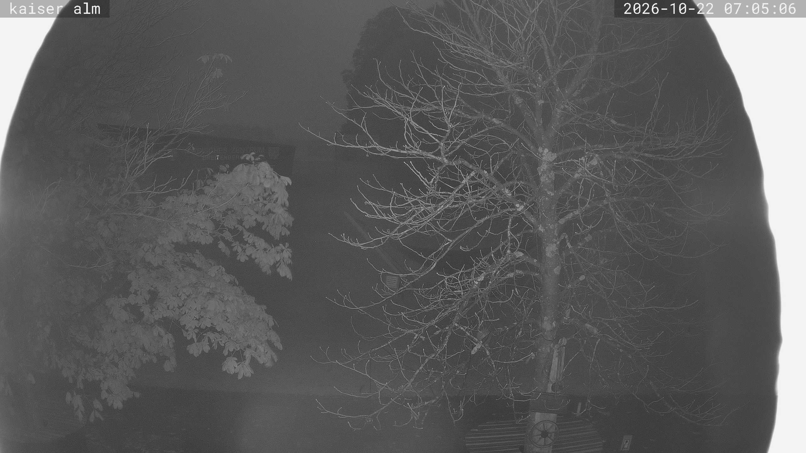 Archiv Foto Webcam Kaiseralm Breitenberg