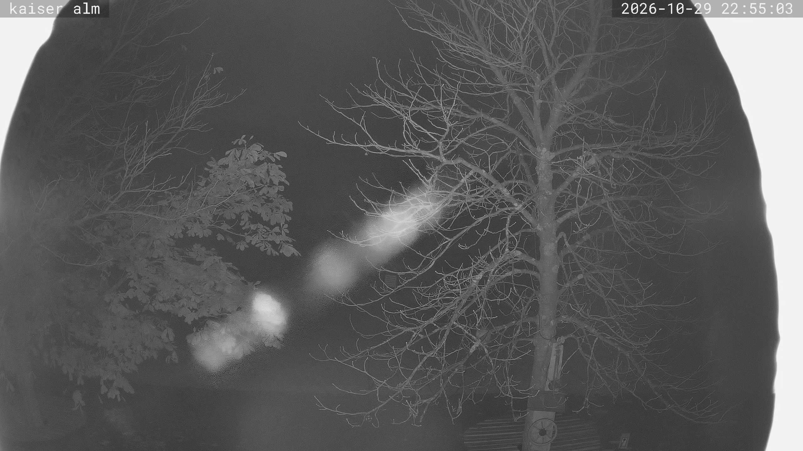 Archiv Foto Webcam Kaiseralm Breitenberg