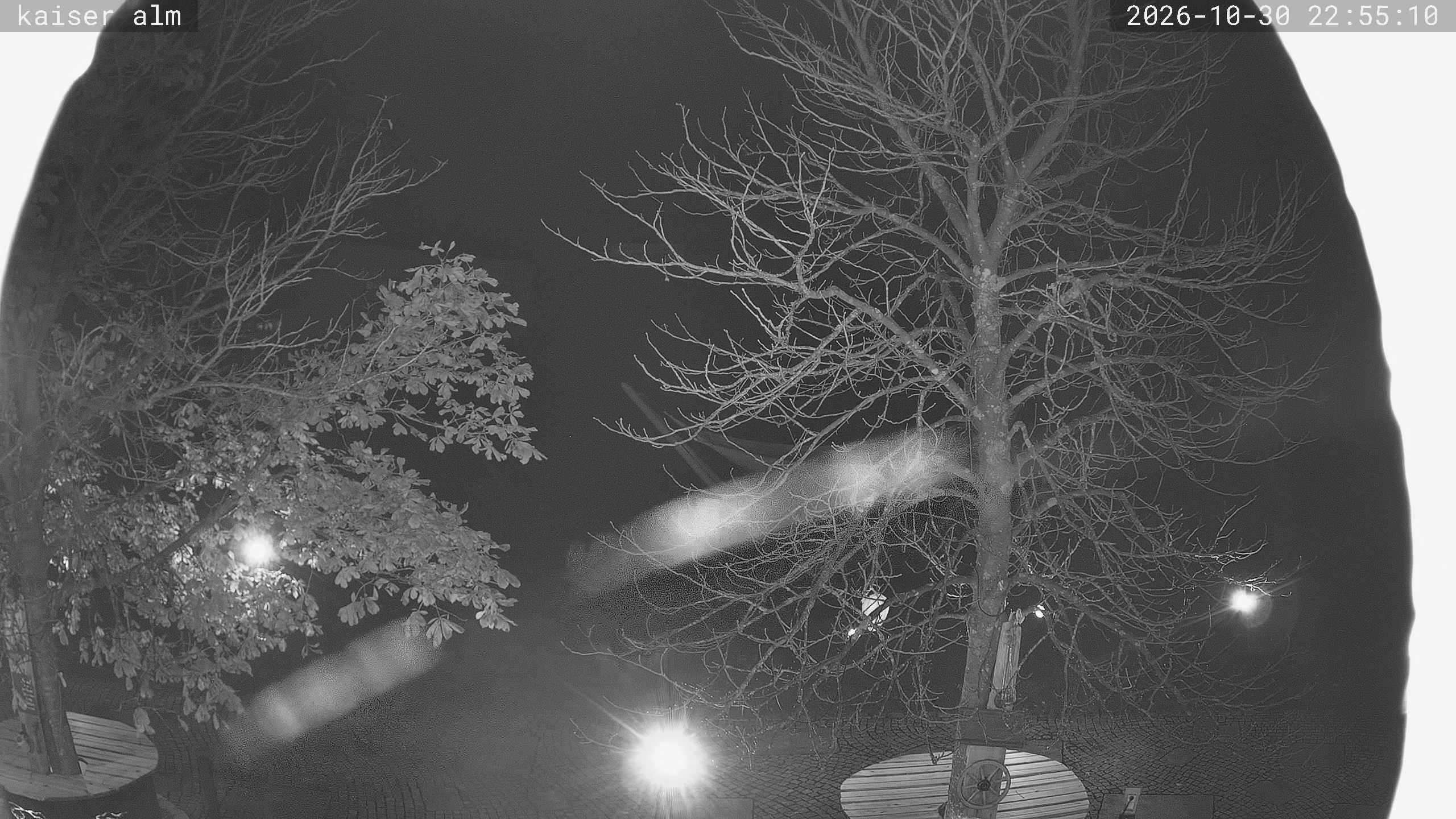 Archiv Foto Webcam Kaiseralm Breitenberg