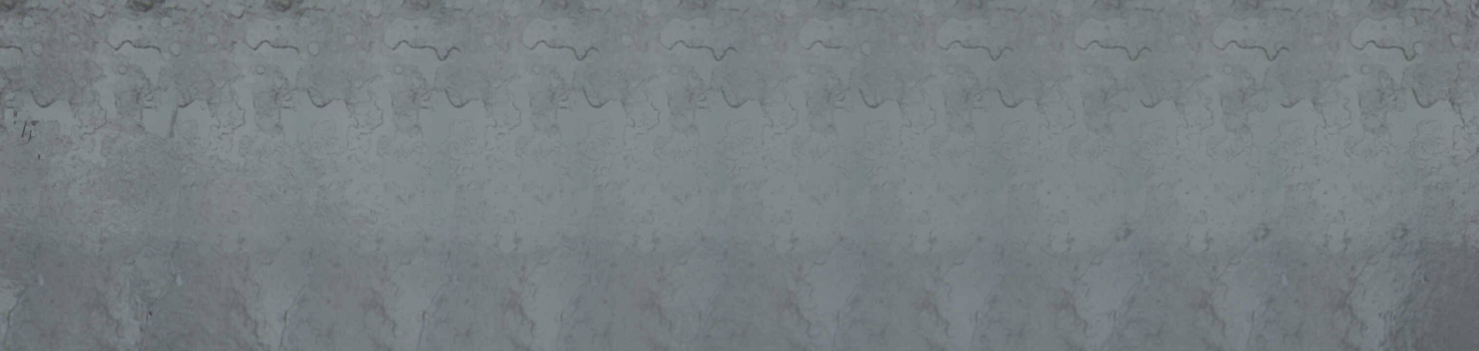 Archiv Foto Webcam Blick vom Kitzbüheler Hornköpfl