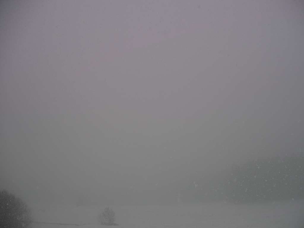 Archiv Foto Webcam Sicht vom Dorf Hofern auf Kiens im Pustertal