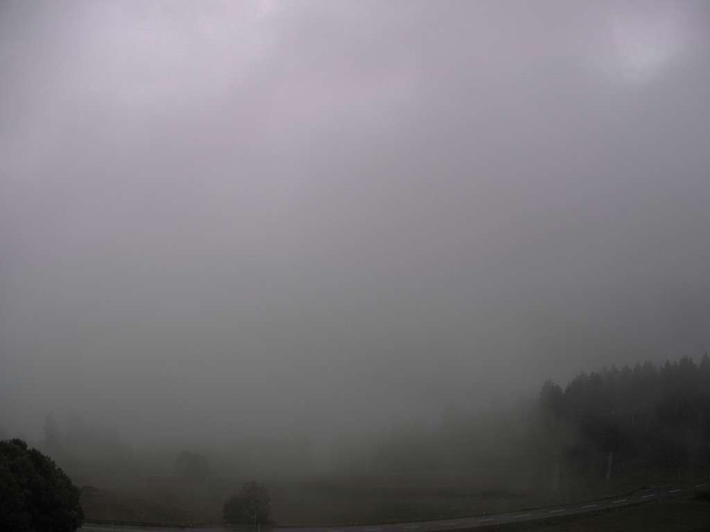 Archiv Foto Webcam Sicht vom Dorf Hofern auf Kiens im Pustertal