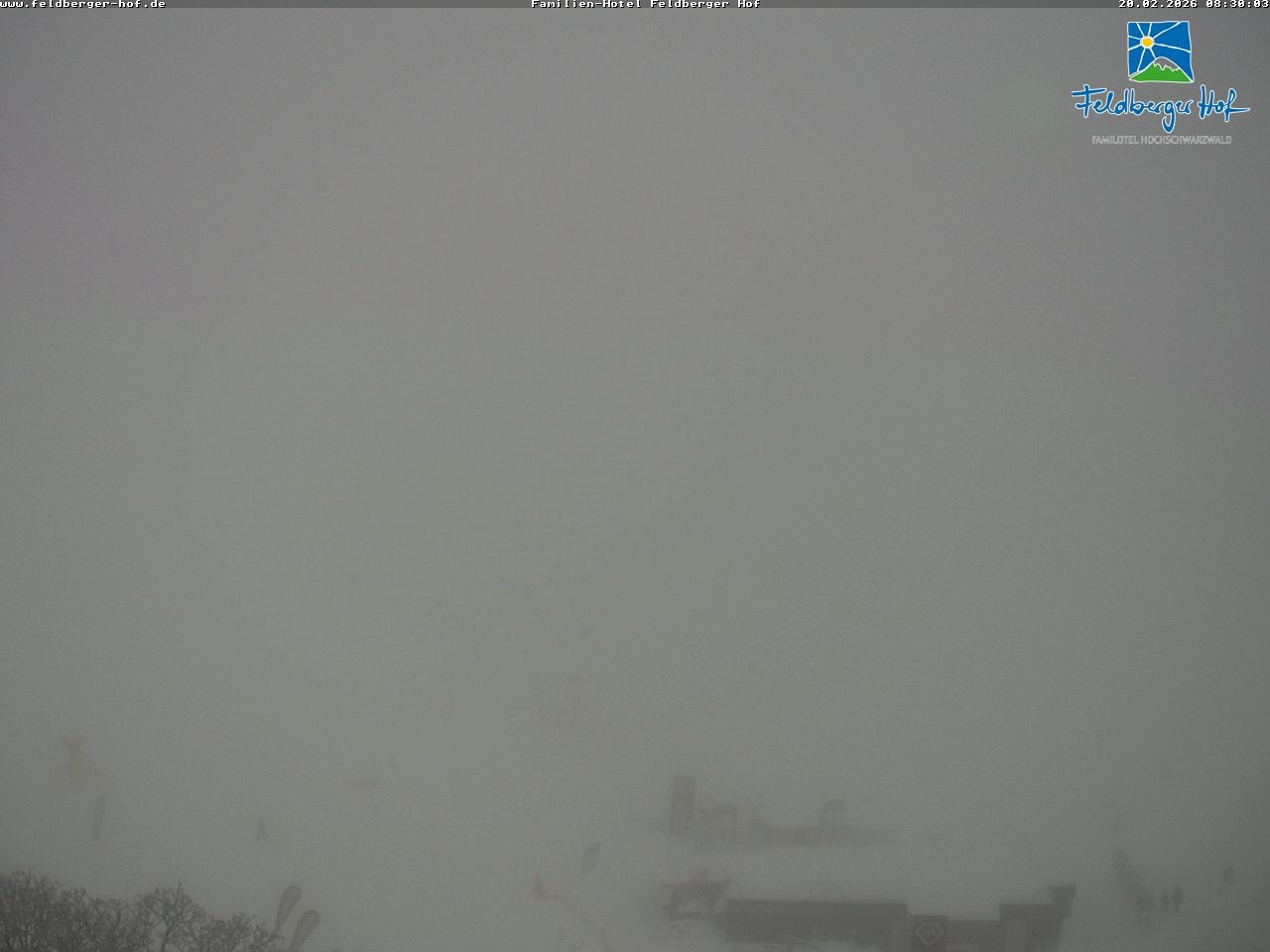 Archived image Webcam Feldberger Hof