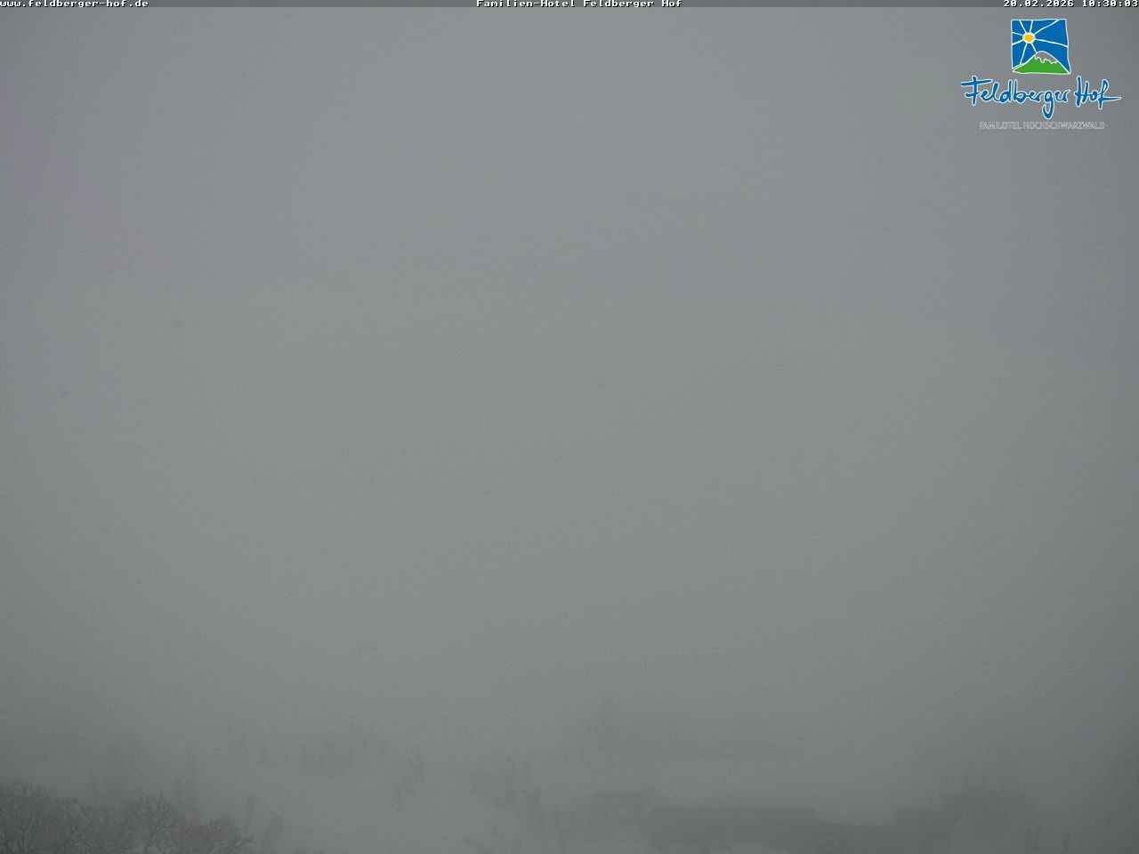 Archived image Webcam Feldberger Hof