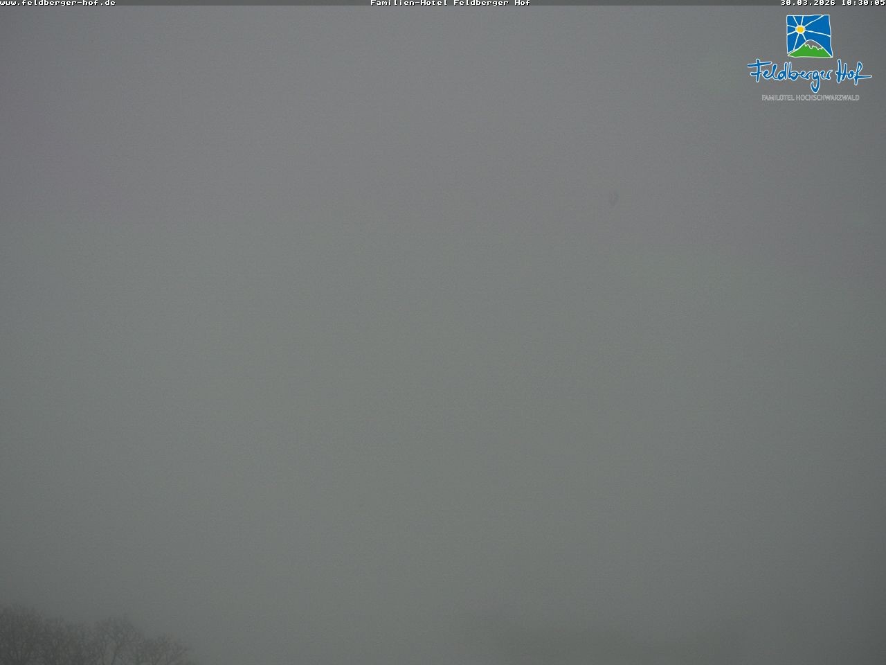 Archiv Foto Webcam am Feldberger Hof