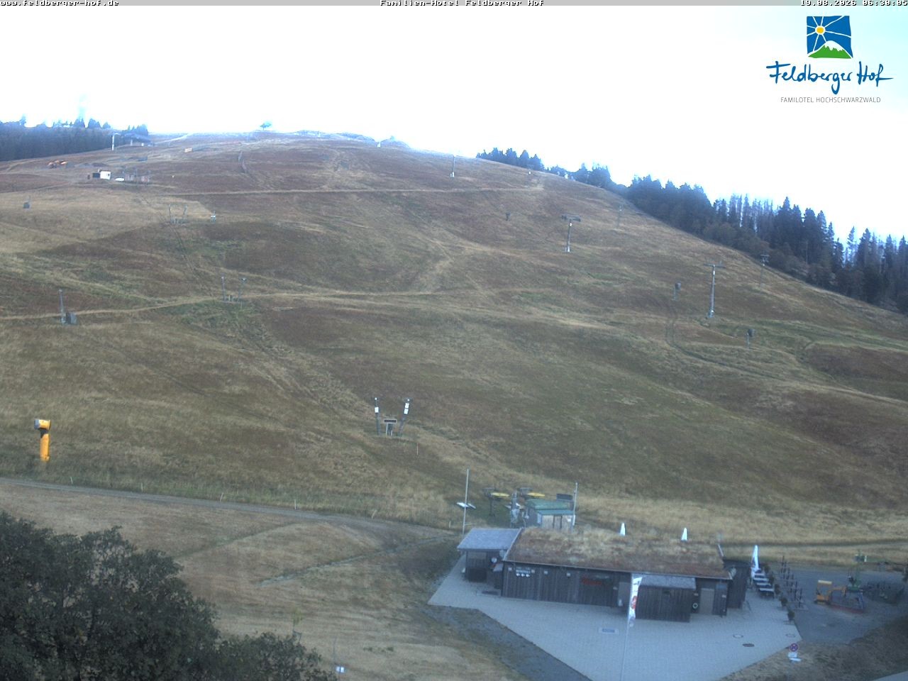 Archived image Webcam Feldberger Hof