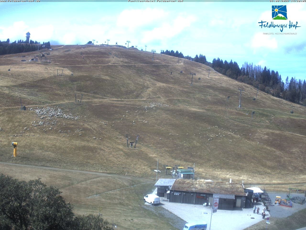 Archived image Webcam Feldberger Hof