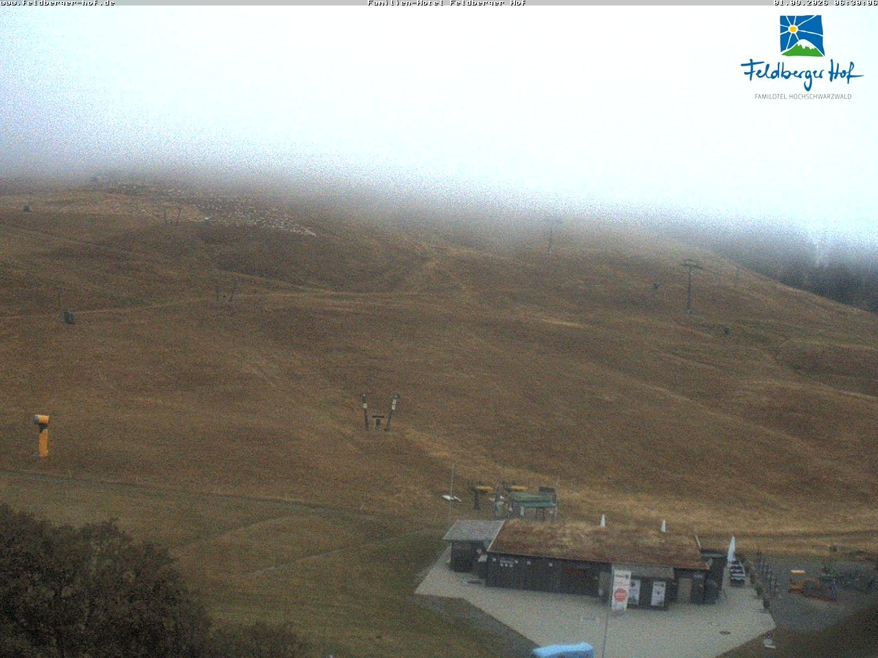 Archived image Webcam Feldberger Hof