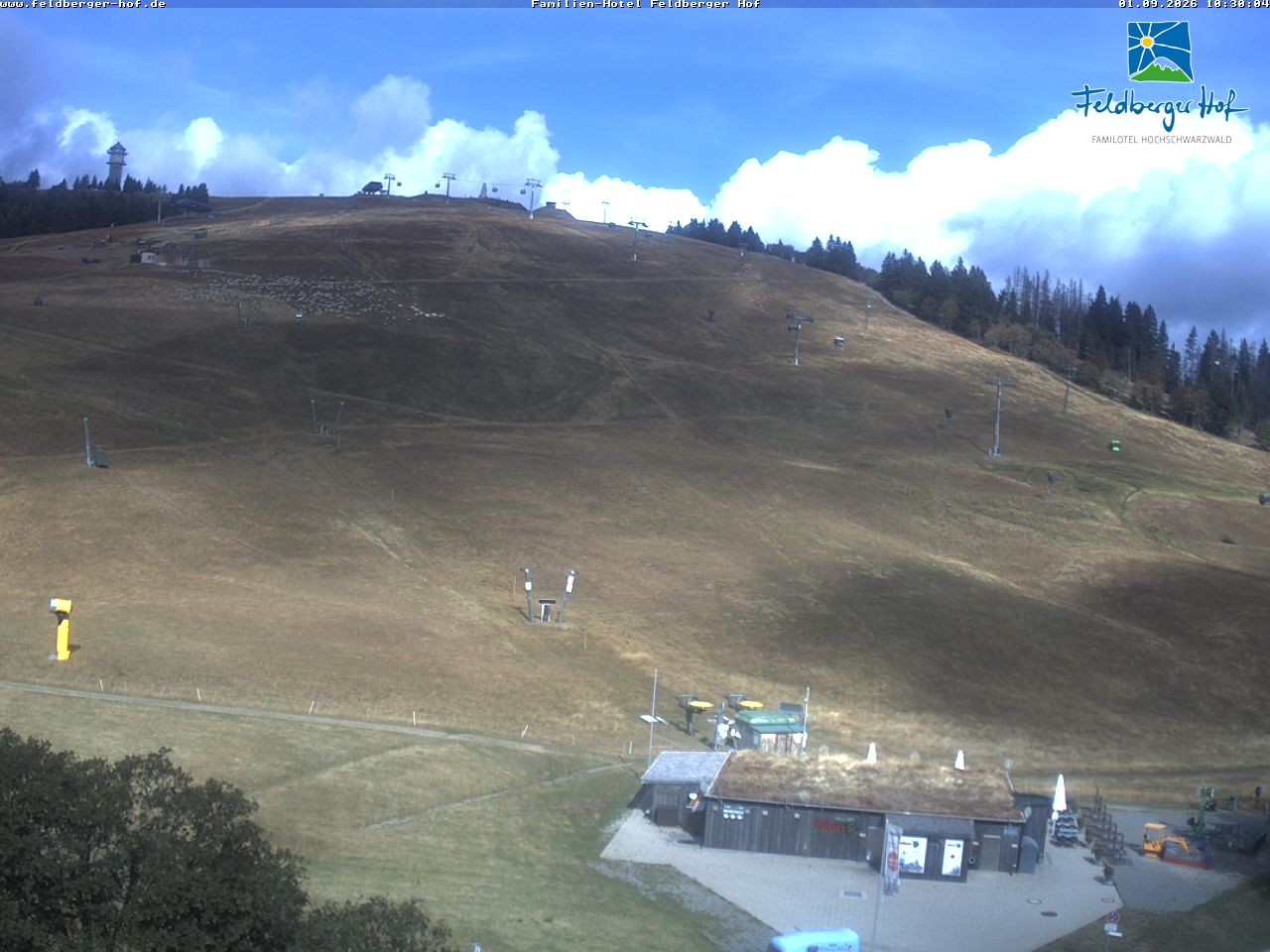 Archived image Webcam Feldberger Hof