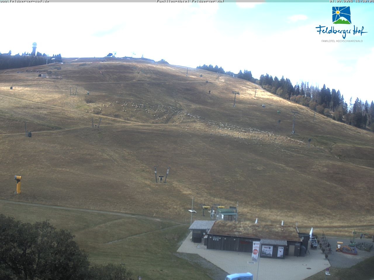 Archived image Webcam Feldberger Hof