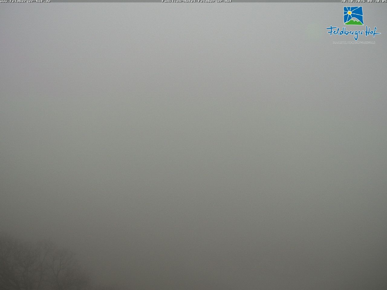 Archiv Foto Webcam am Feldberger Hof