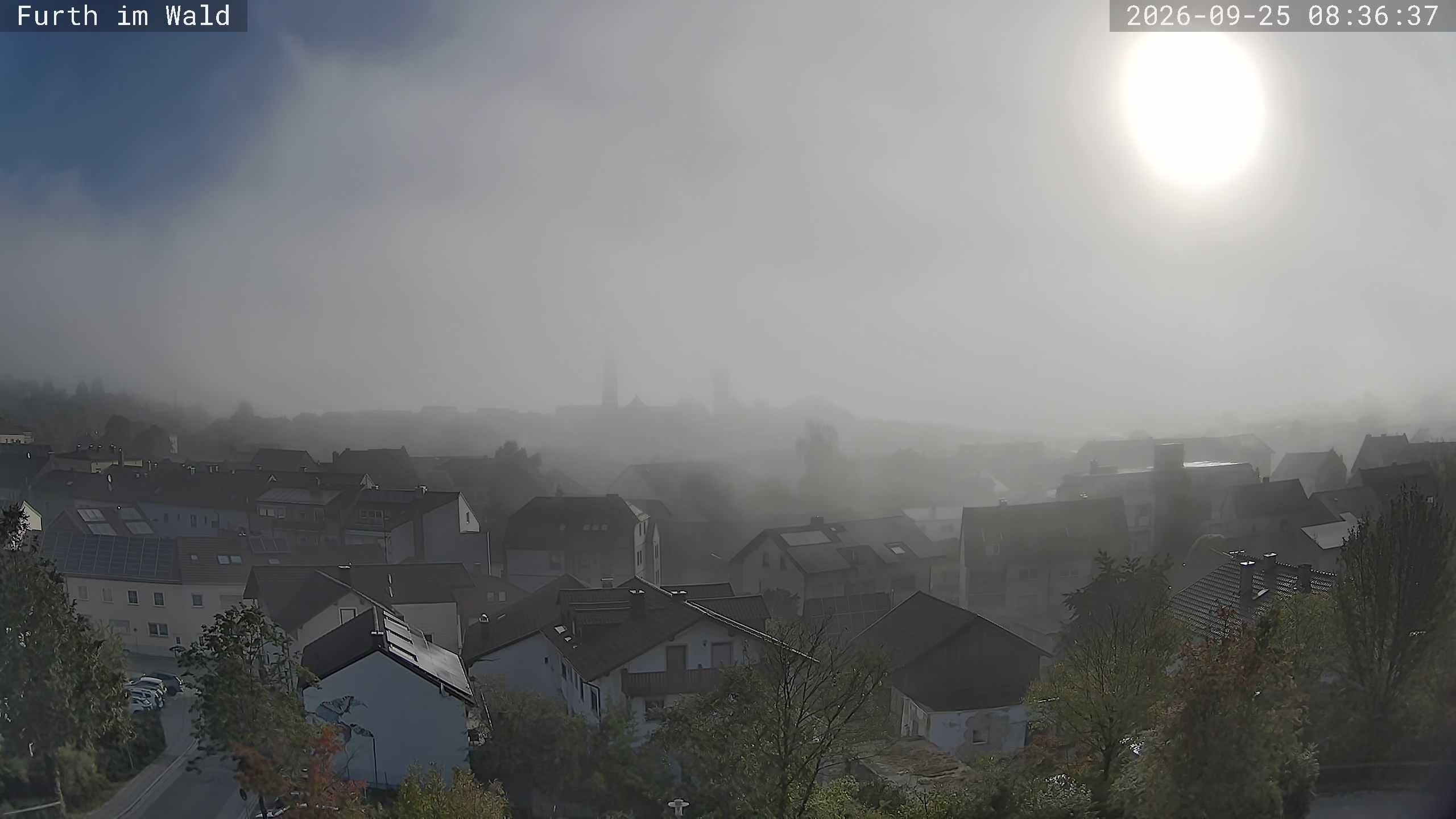 Archiv Foto Webcam Furth im Wald