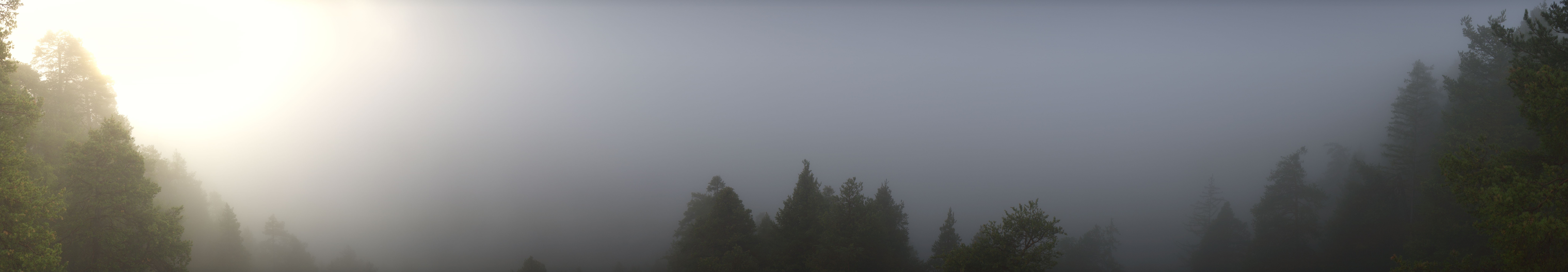 Archived image Webcam Ruinaulta - Swiss Grand Canyon