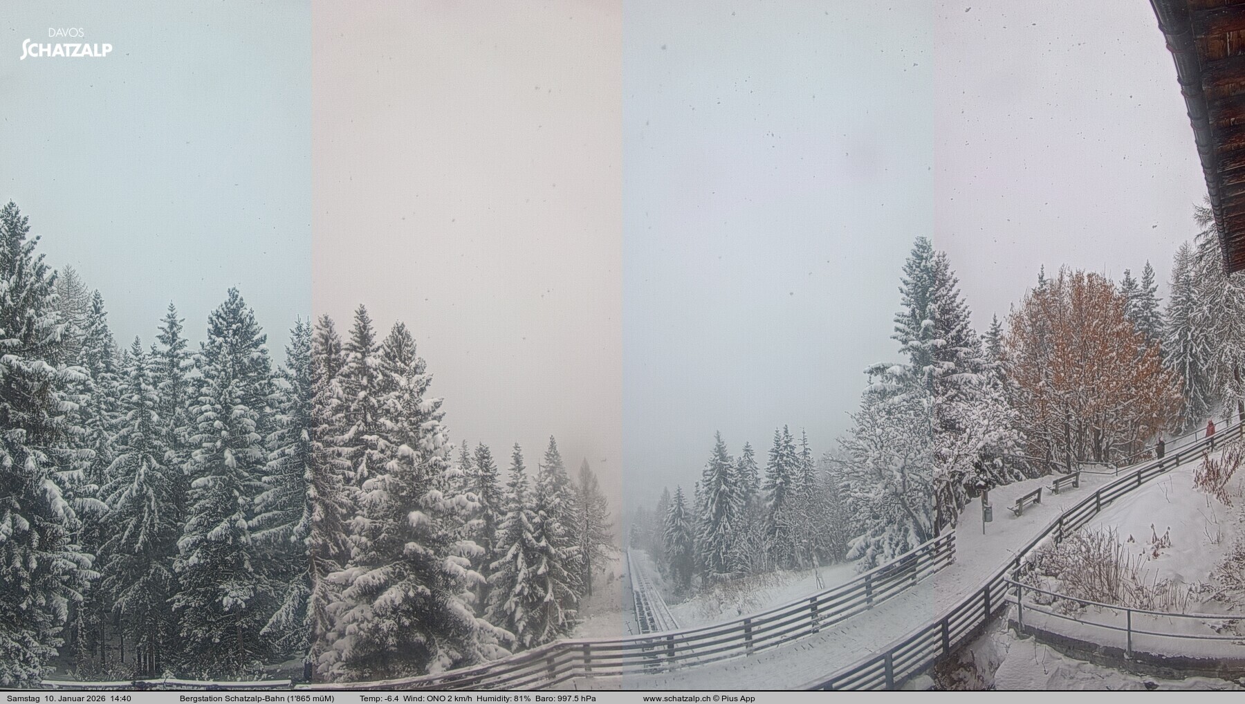 Archiv Foto Webcam Schatzalp